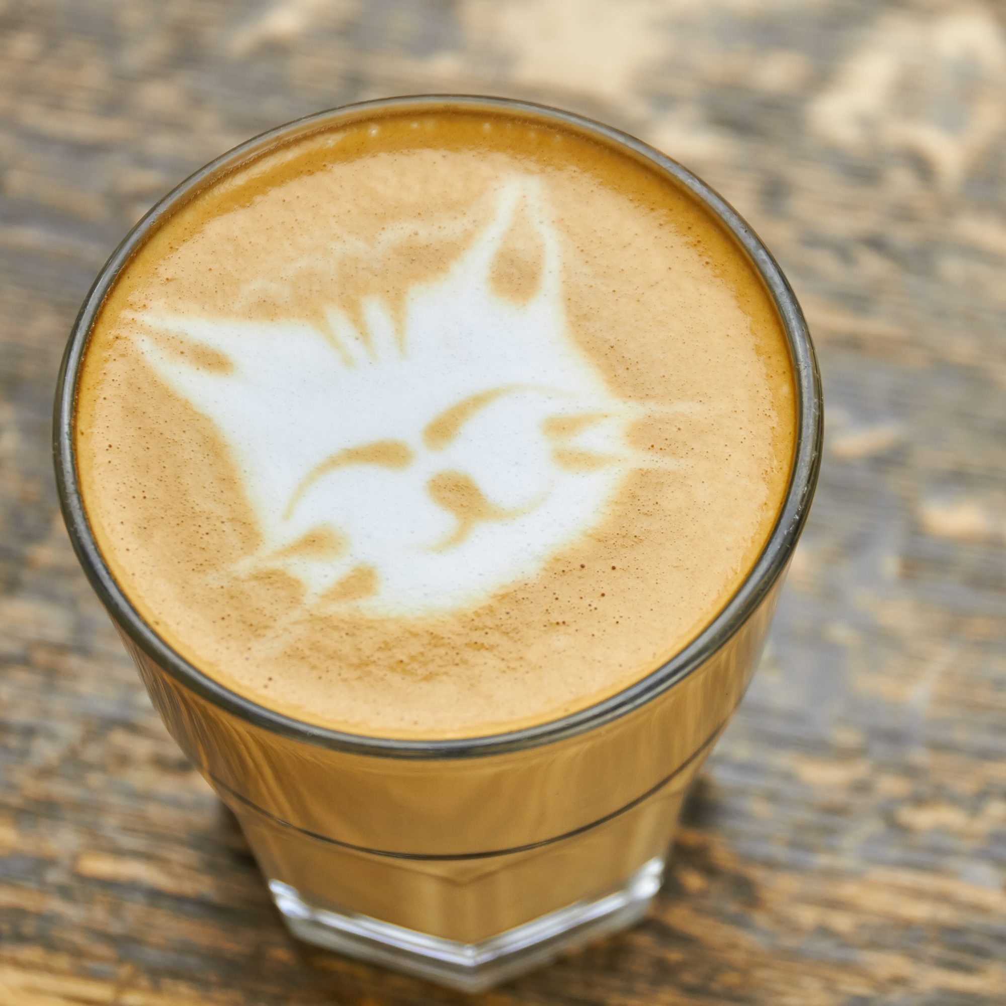 a latte with a cat shaped foam drizzle on top