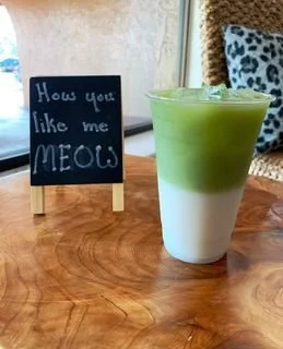 purrology cat cafe picture of a drink with matcha