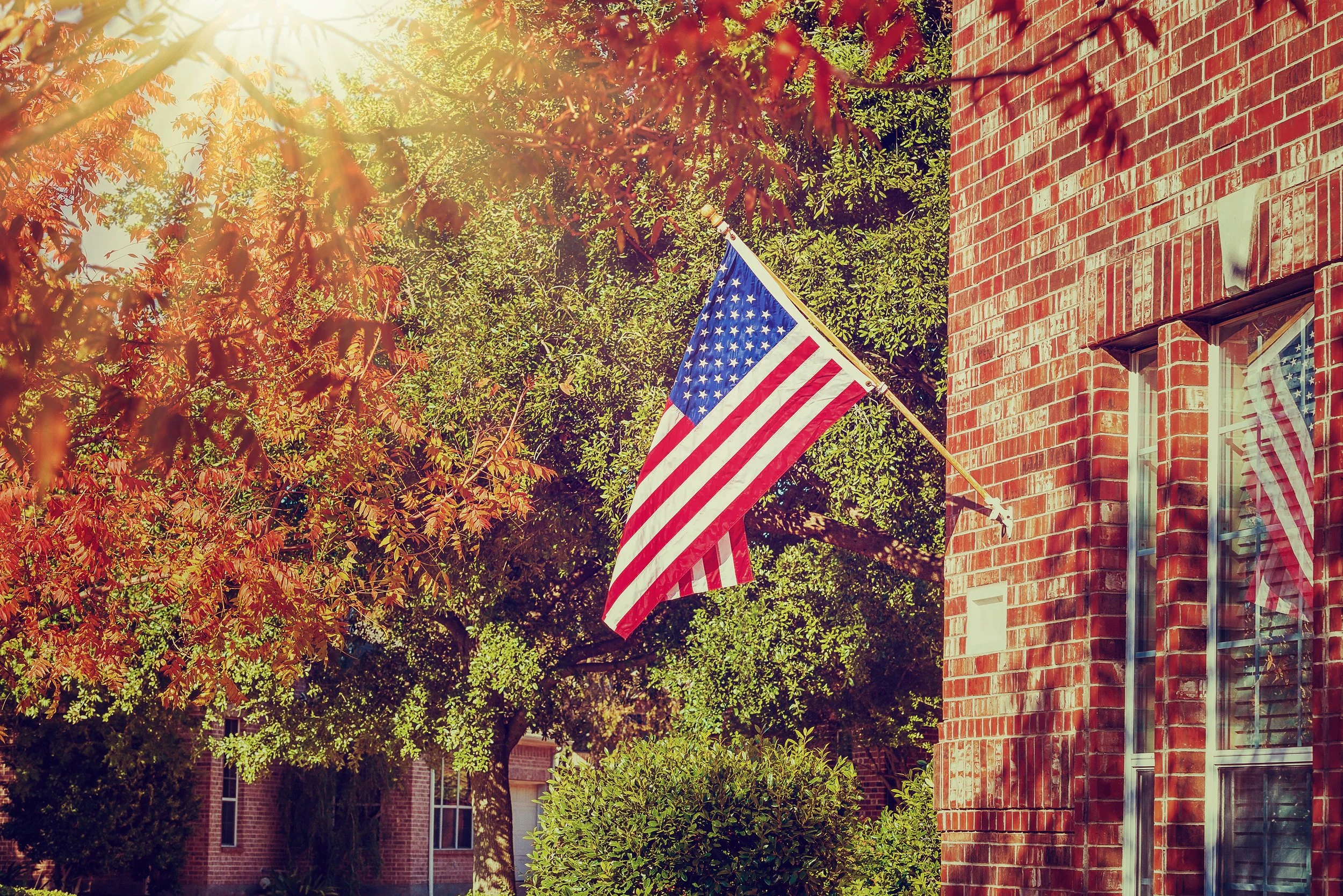 A Thanksgiving Letter to Our Shareholders