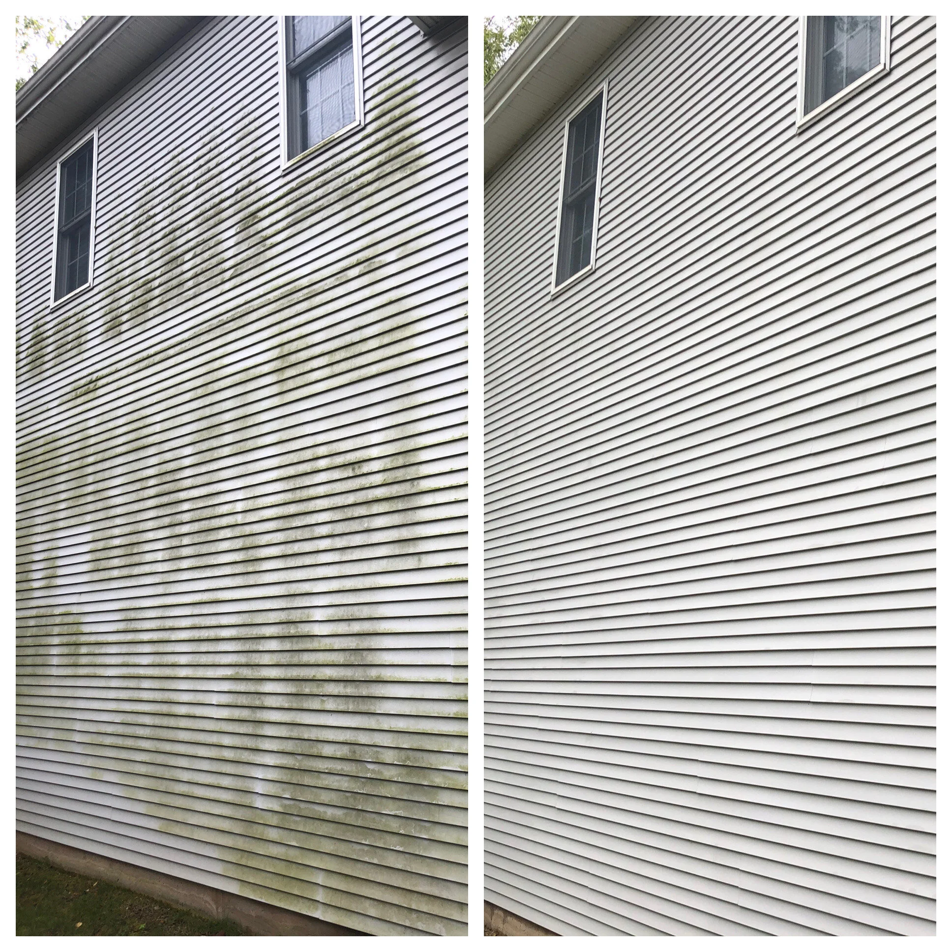 Side-by-side comparison of a house's exterior siding before and after cleaning, showing removal of green mold and dirt.