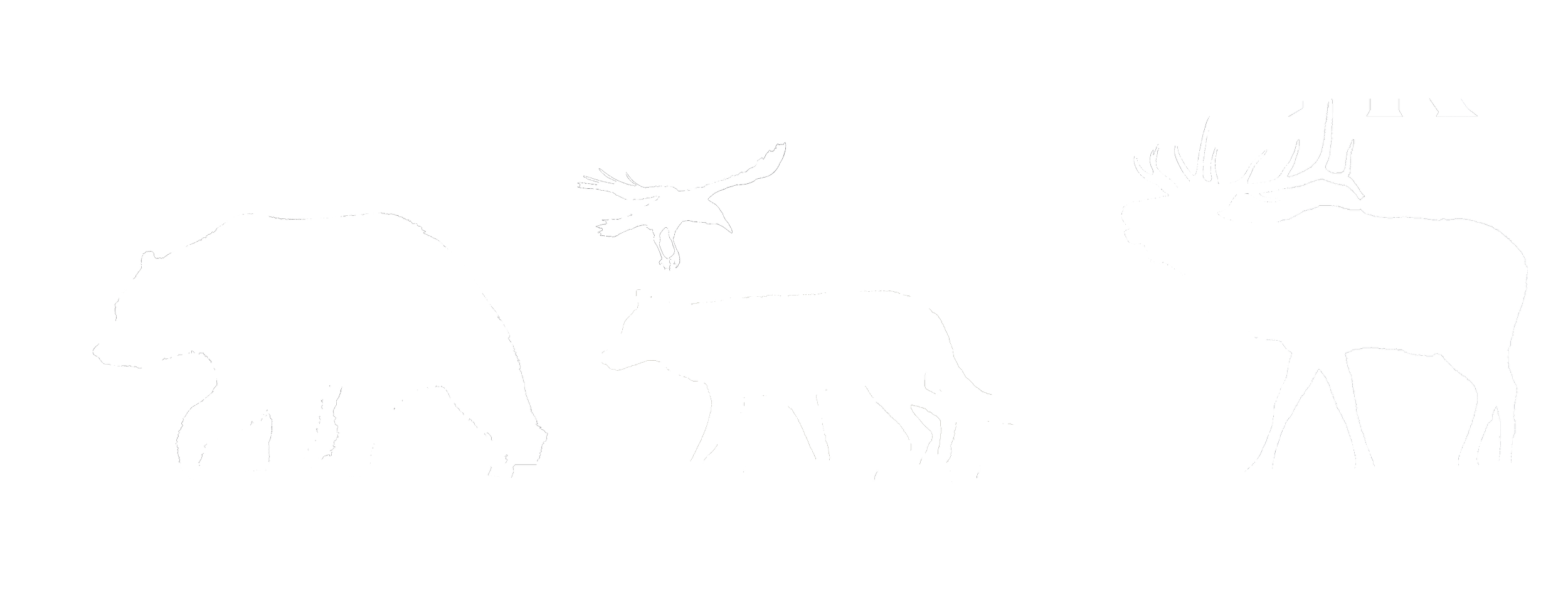 Silhouette of a bear, wolf, owl, and elk with the words 'JULIA GOK WILDLIFE' at the top and bottom.