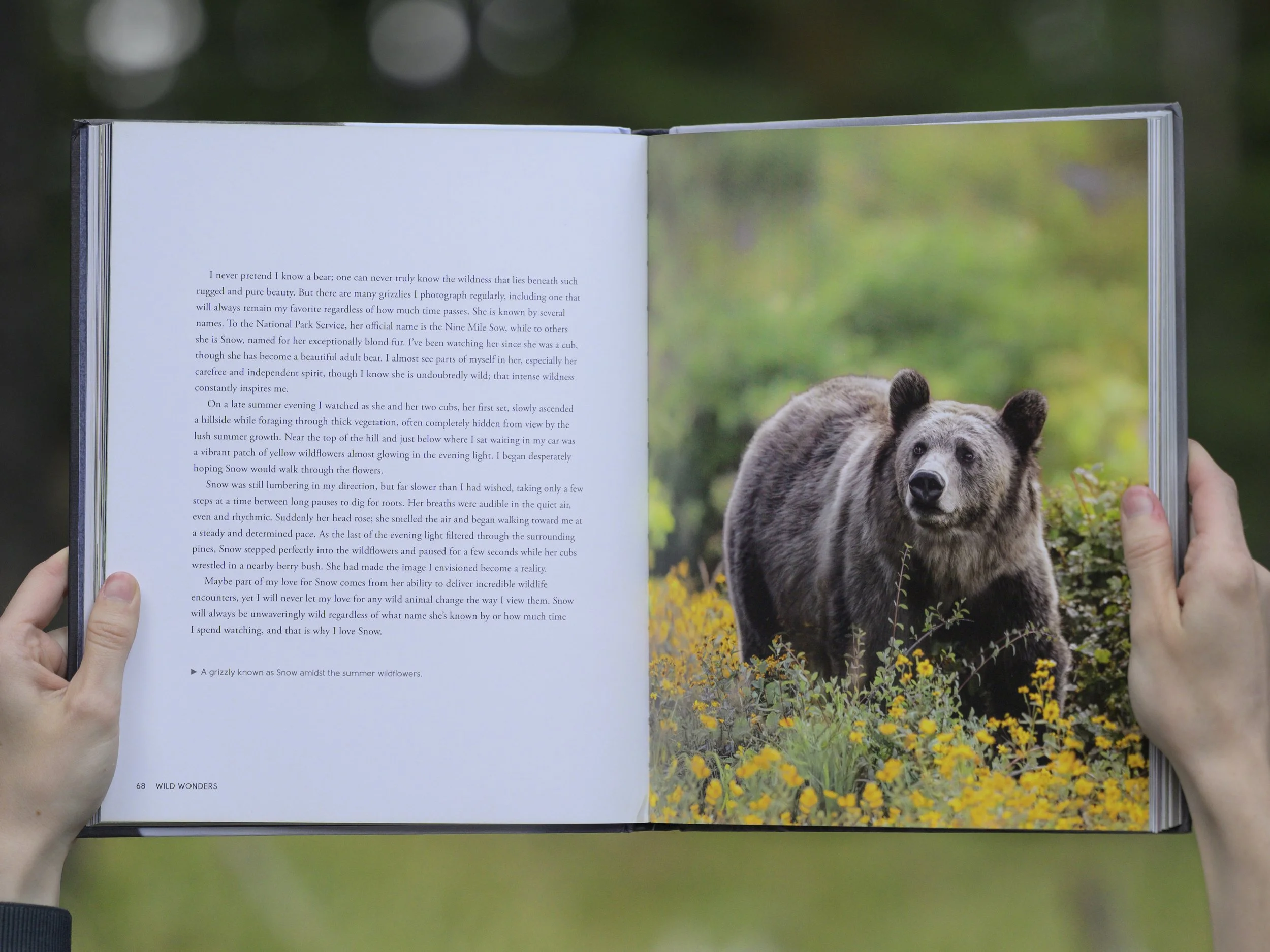wildwonders4.jpg