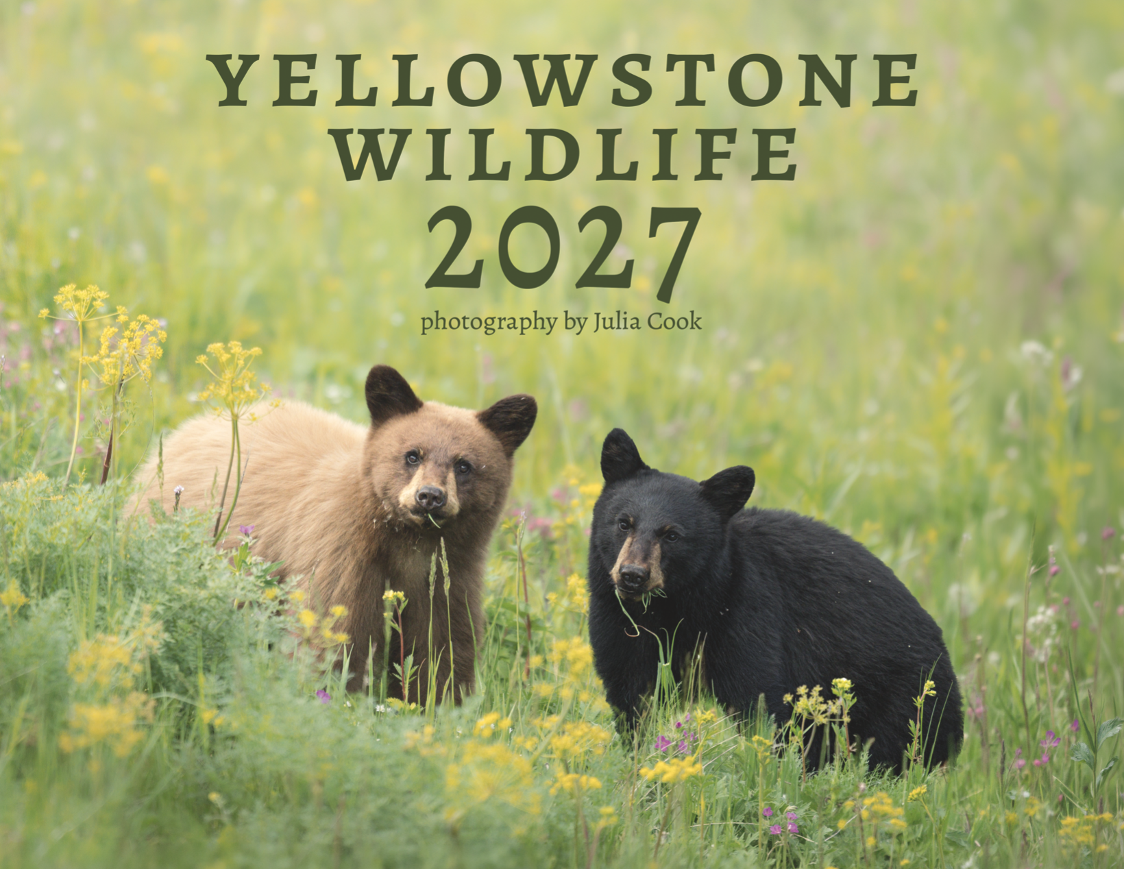 2027 Calendar Preorder