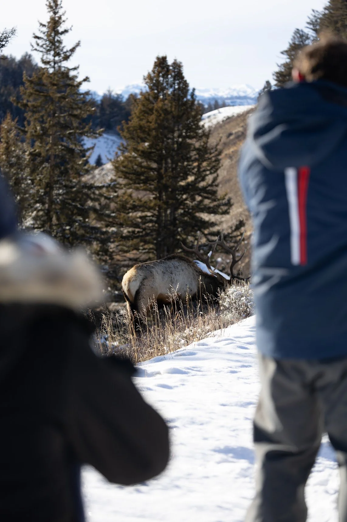 2026 Winter Expedition -08.jpg