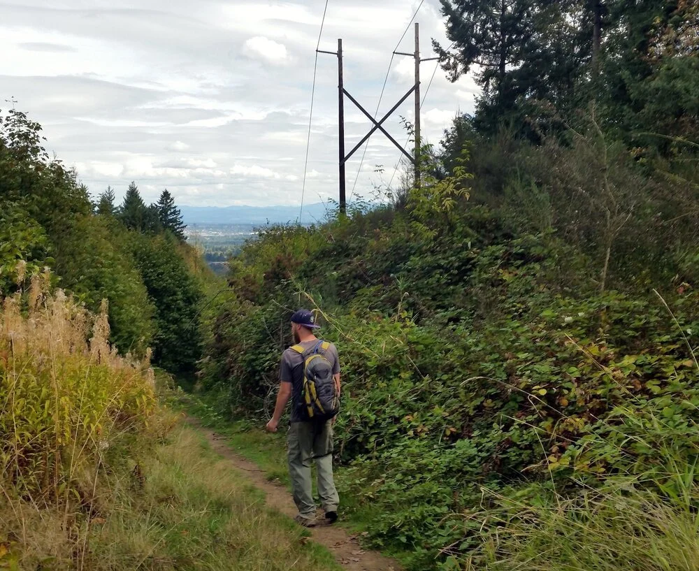 Dustin Flocken hiking along a path, flanked by large bushes.