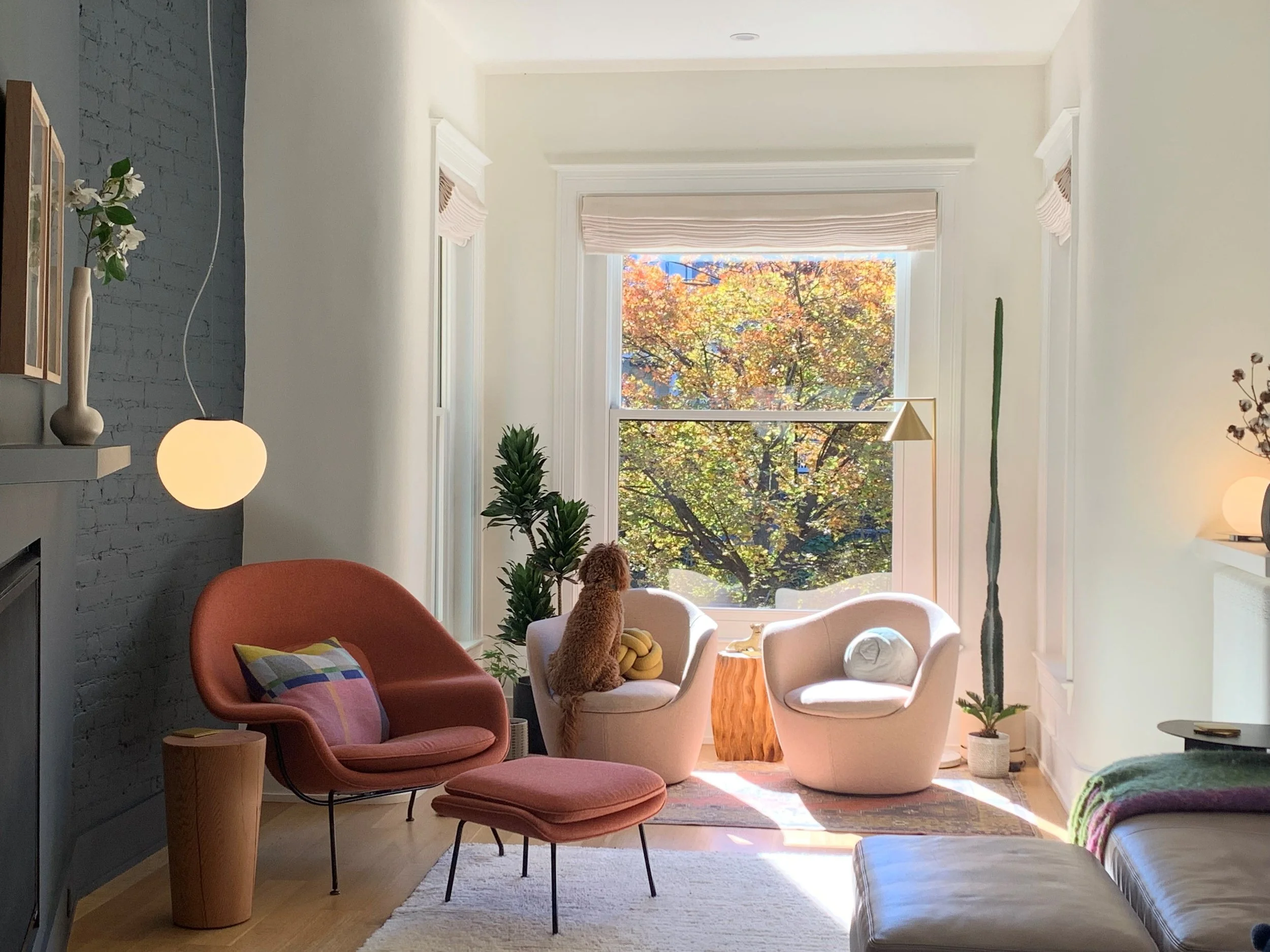 cated living rm.jpg