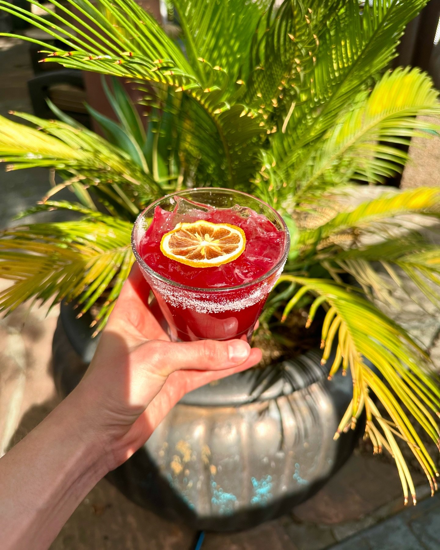 The heat is here and so is our new cocktail of the moment! ☀️🔥

✨BLACKBERRY BLISS✨
-el nacimiento tequila, blood orange liqueur, blackberry syrup, lemon juice 
.
.
.
#cocktails #phoenixcocktails #arizonacocktails #monthlycocktails #monthlycocktailsp