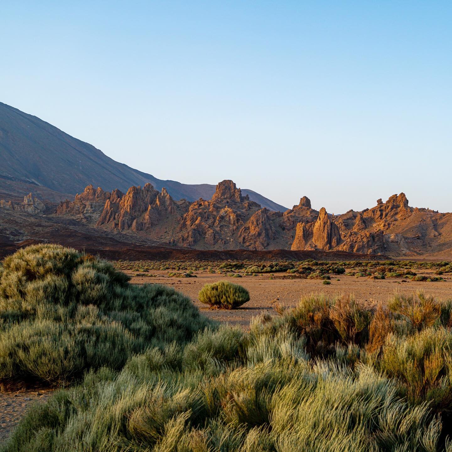 { Viajando en la #latituddevida }
Part.2 🇮🇨 Tenerife

#tenerife #islacanarias #tenerife🌴 #canarie #teide #teidenationalpark #latitudinedavivere #canarieislands #trekking #travelblogger #ontheroad #teidevolcano #elteide #teide🌋 #travelphotography 