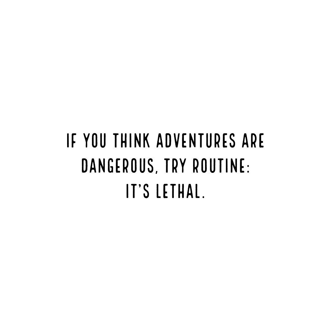 If you think adventures are dangerous, try routine: it&rsquo;s lethal.

#travel #travelgram #travelblogger #travelling #travelersnotebook #travelling #traveling #lifestyle #phrases #aphorism