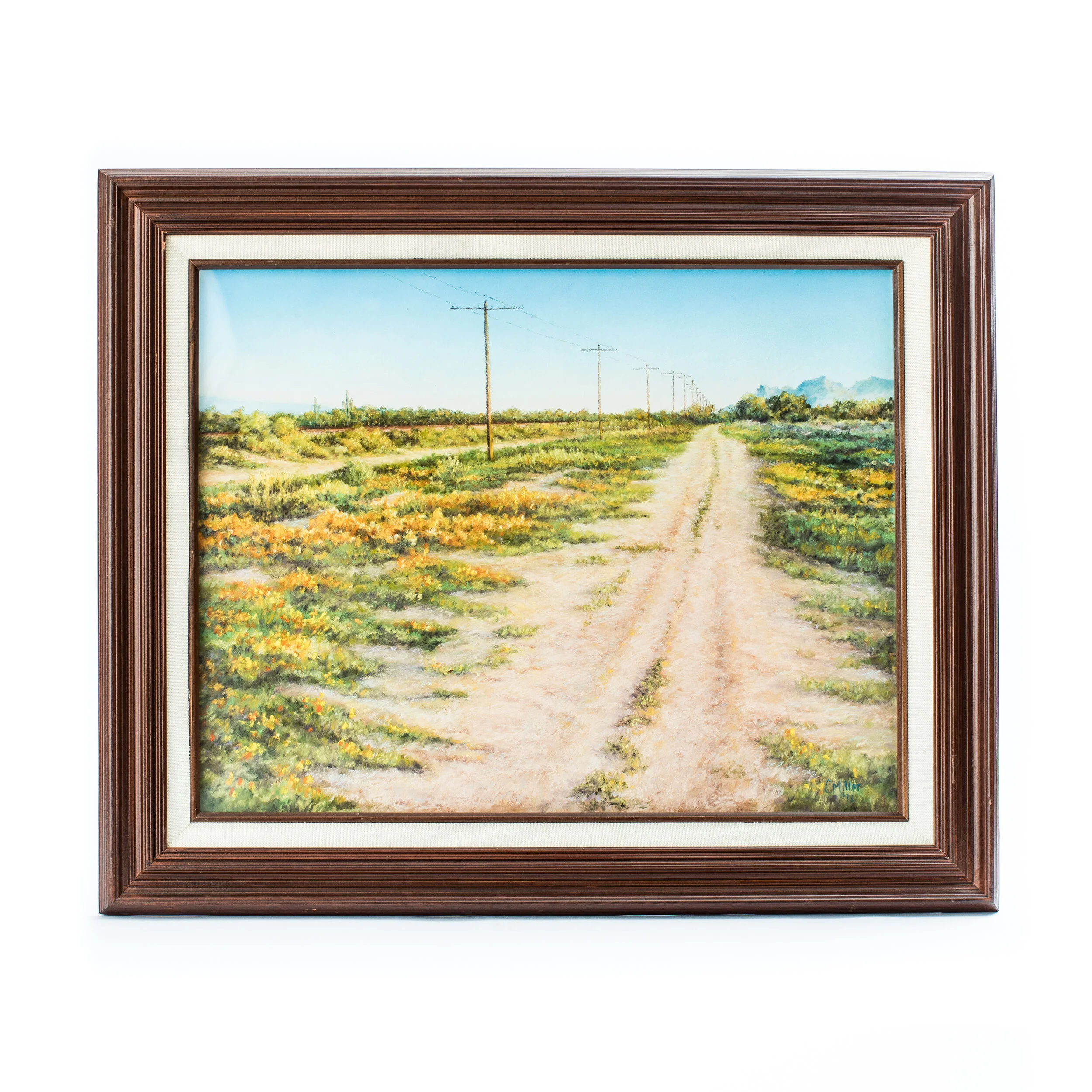 Somewhere Along an Arizona Highway