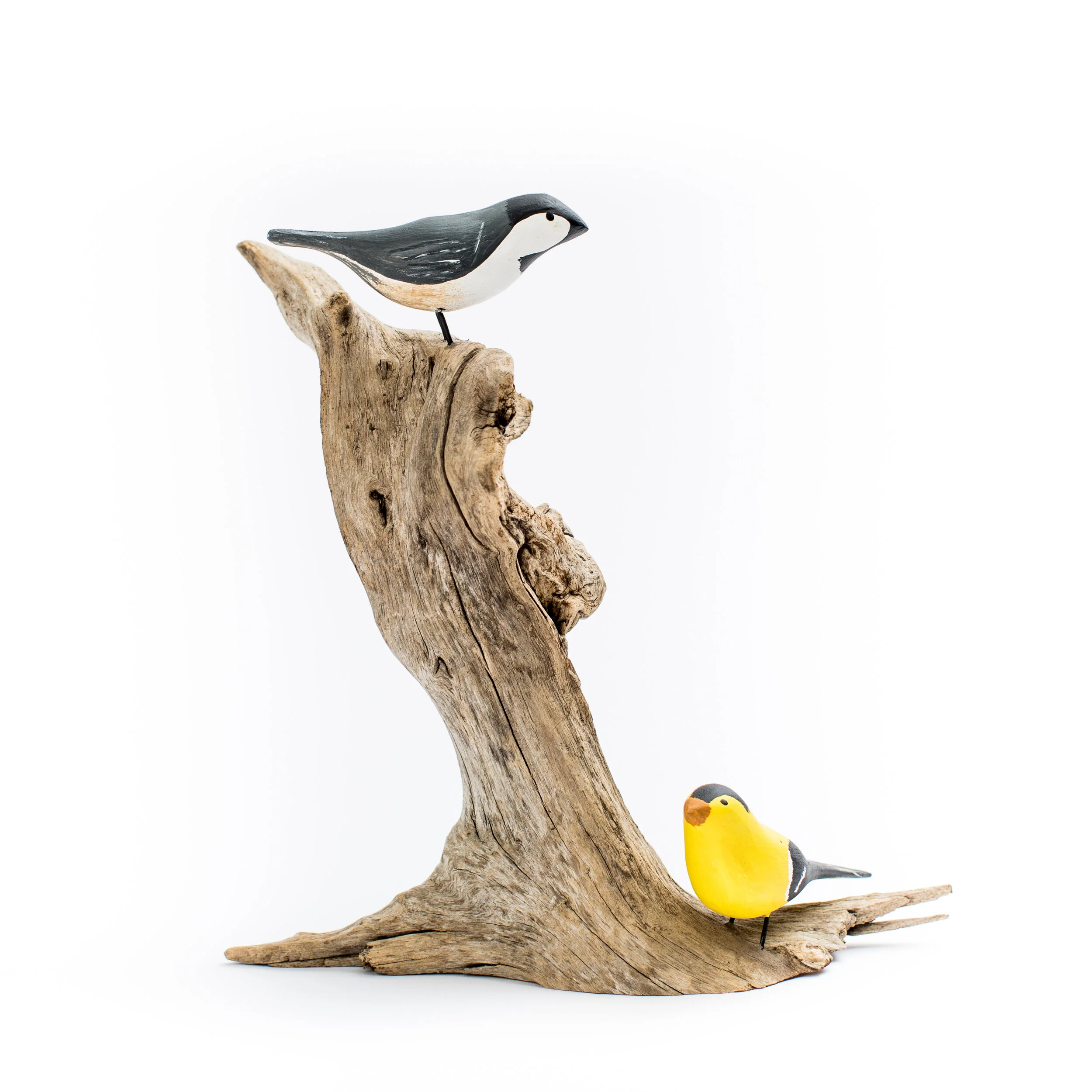 Carolina Chickadee &amp; Goldfinch 