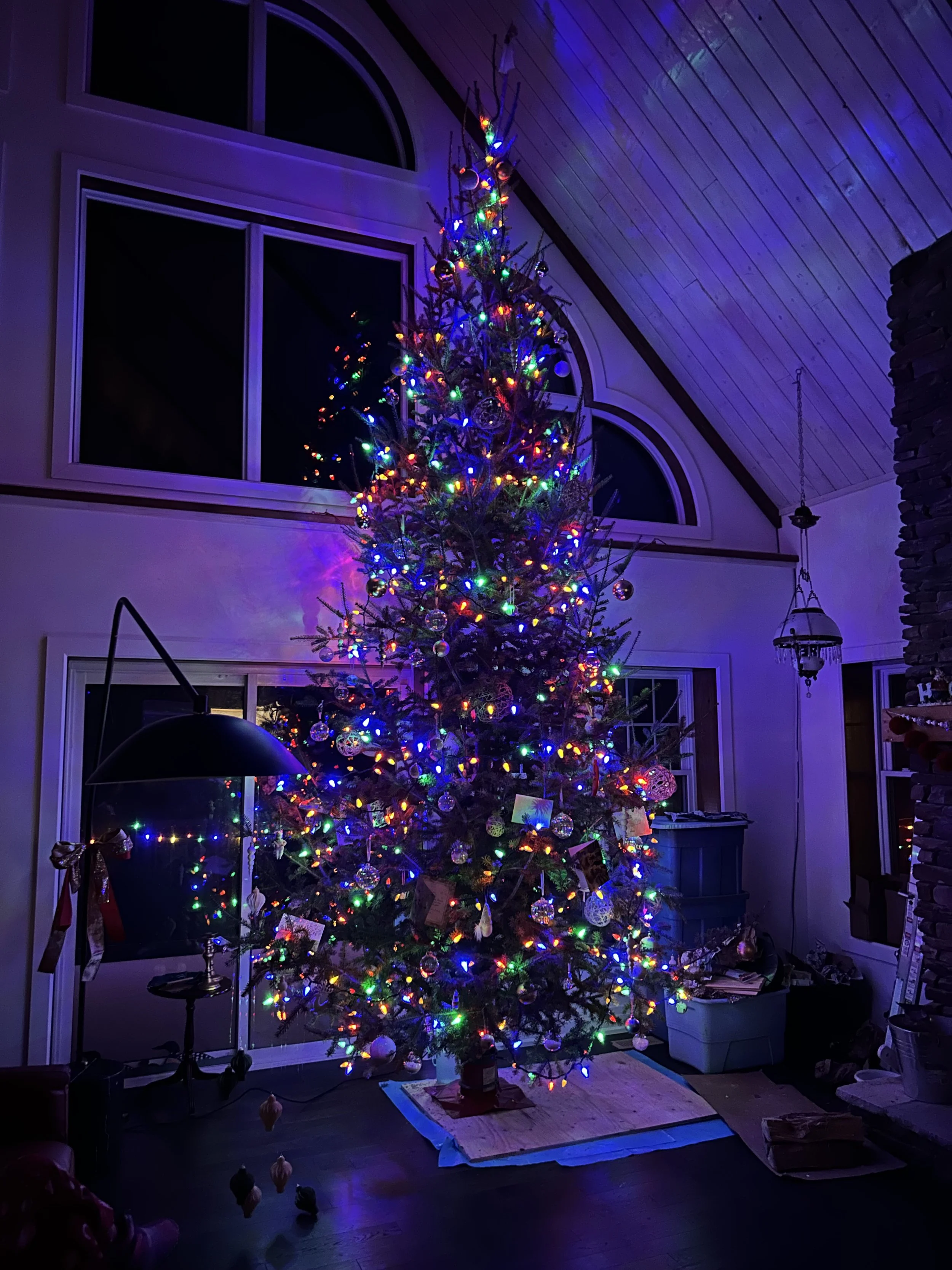 2024's Christmas tree