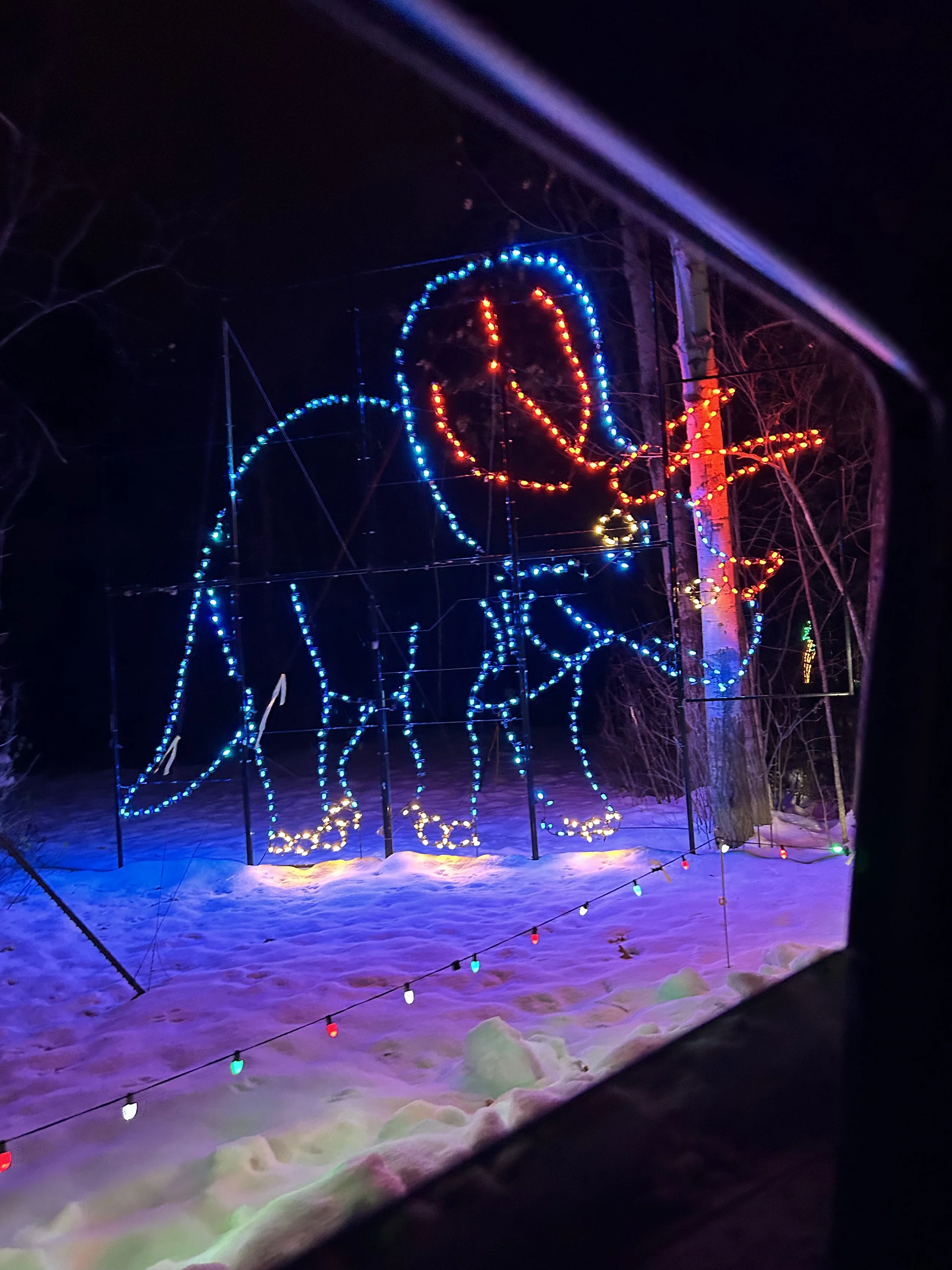 Magic of Light's Ottawa