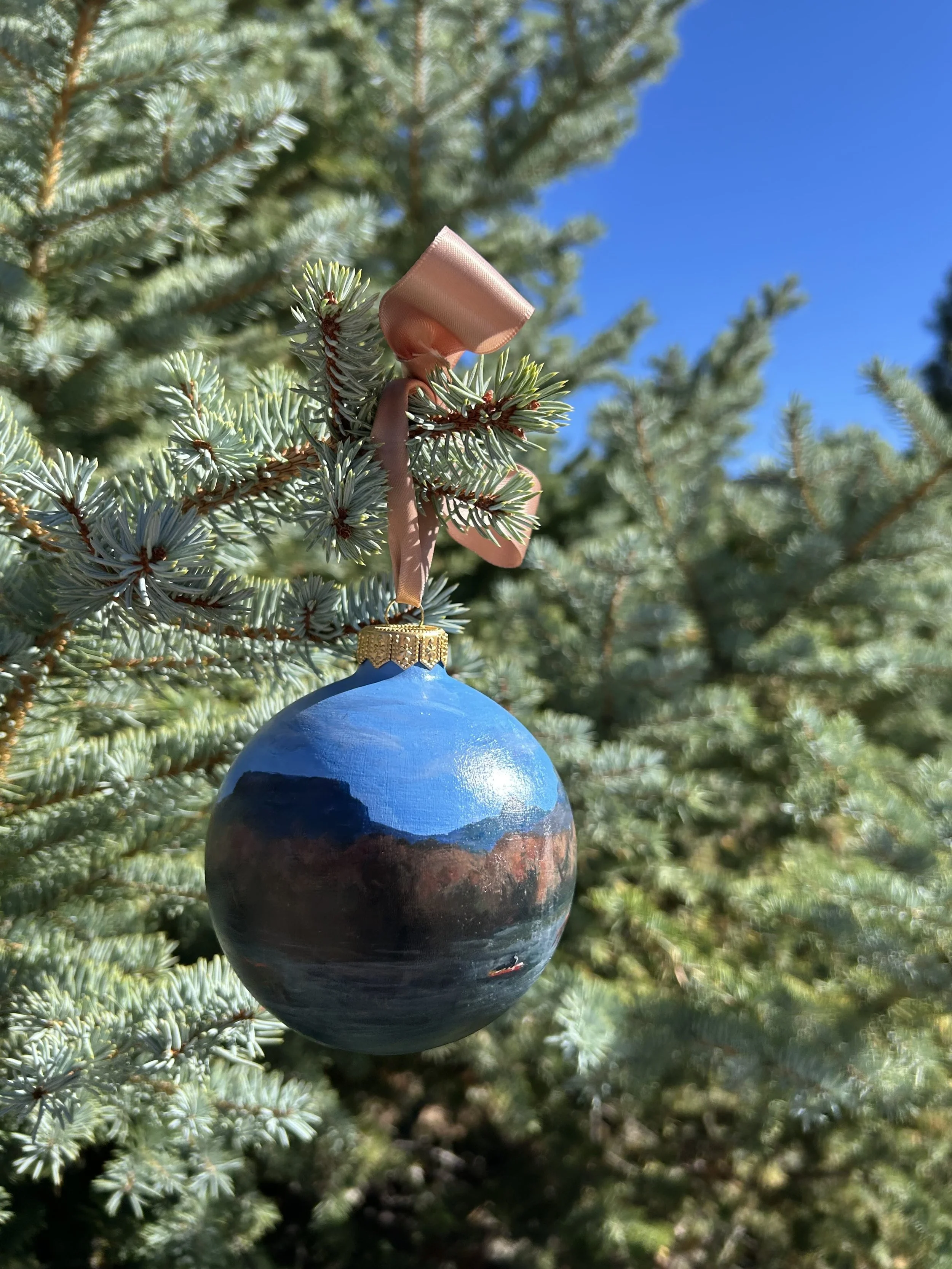 Salt+River+Tubing+Ornament+3.jpg