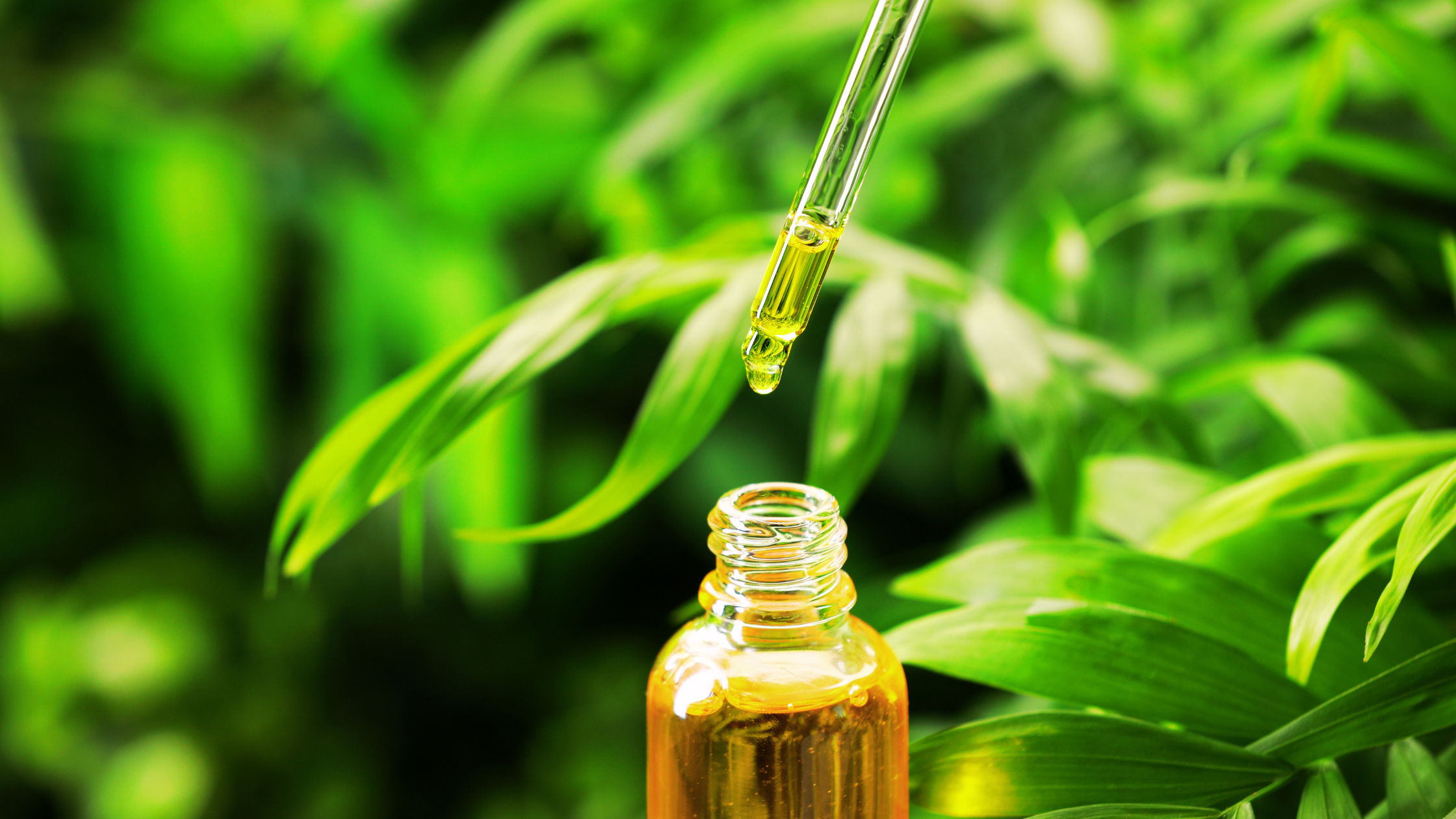 Why Plant Oils Feel Magical On Your Skin!