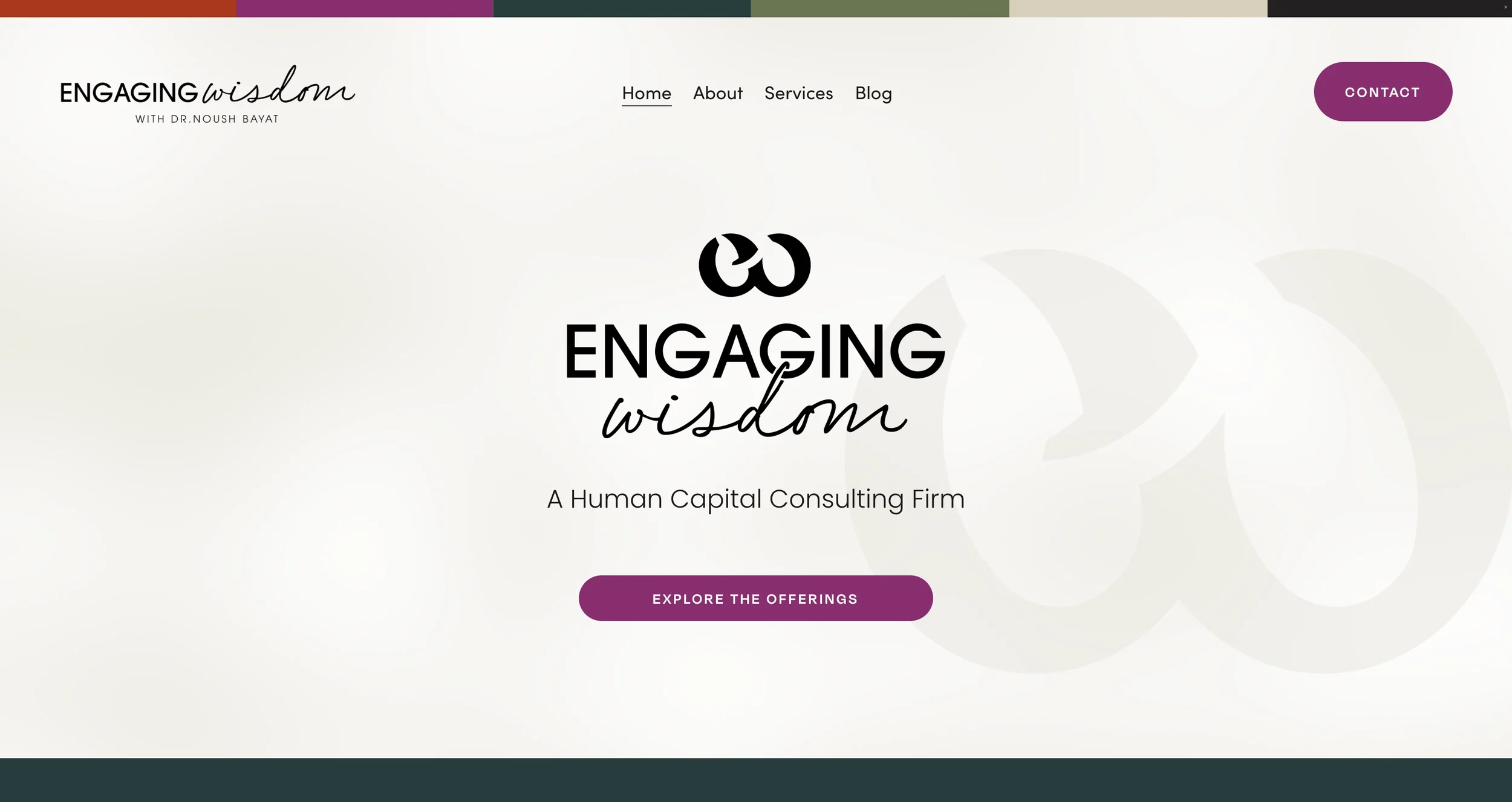 Steady, Wise, and Human-Centered Leadership Brand for Dr. Noushin Bayat, Founder of Engaging Wisdom