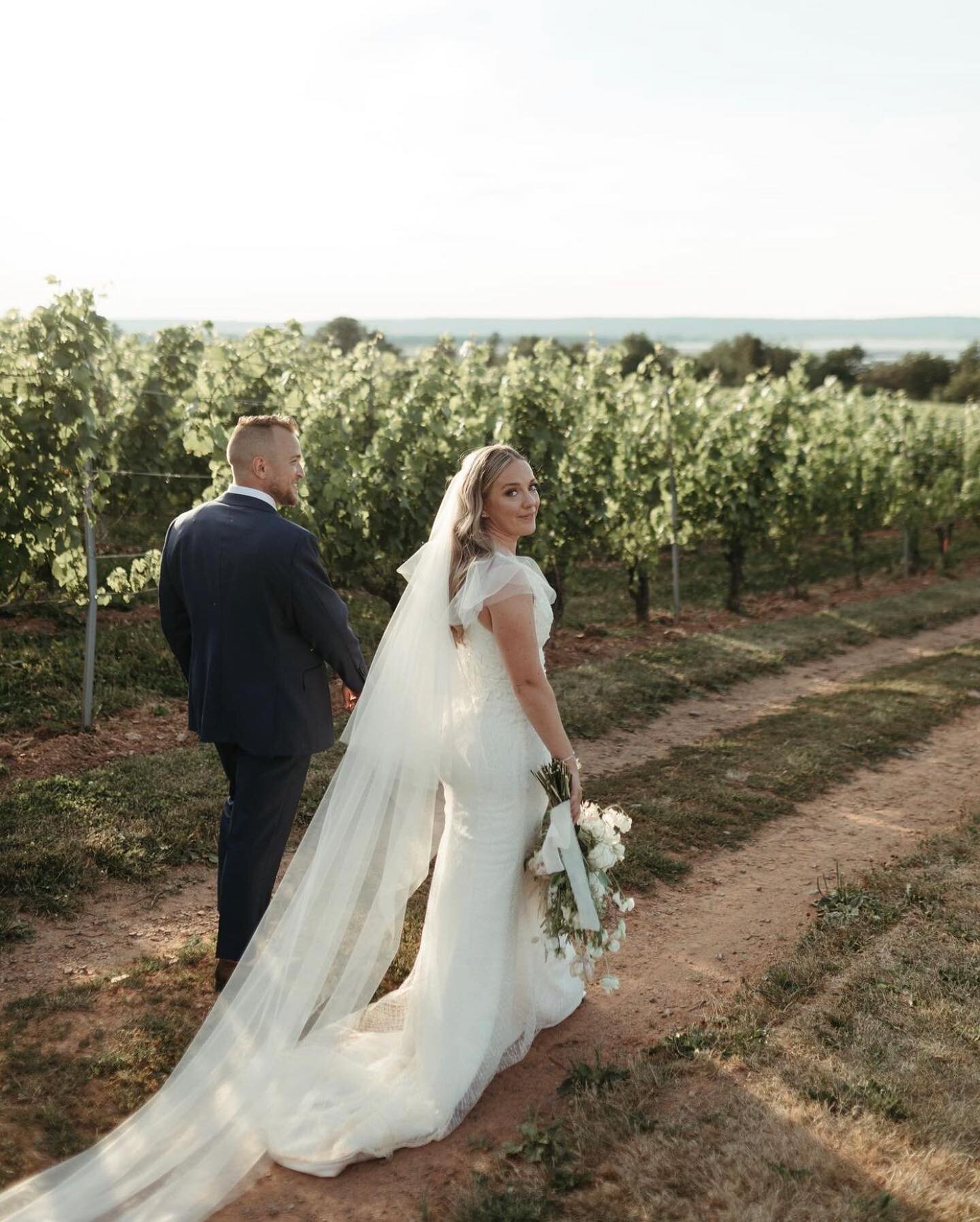 Our beautiful bride Mallory and her dreamy vineyard wedding 🤍

@malloryysoder
@jwellsphotography 
@lwwines 
@allisonkirbyy 
@thelox.ca 
@carrieburgess_