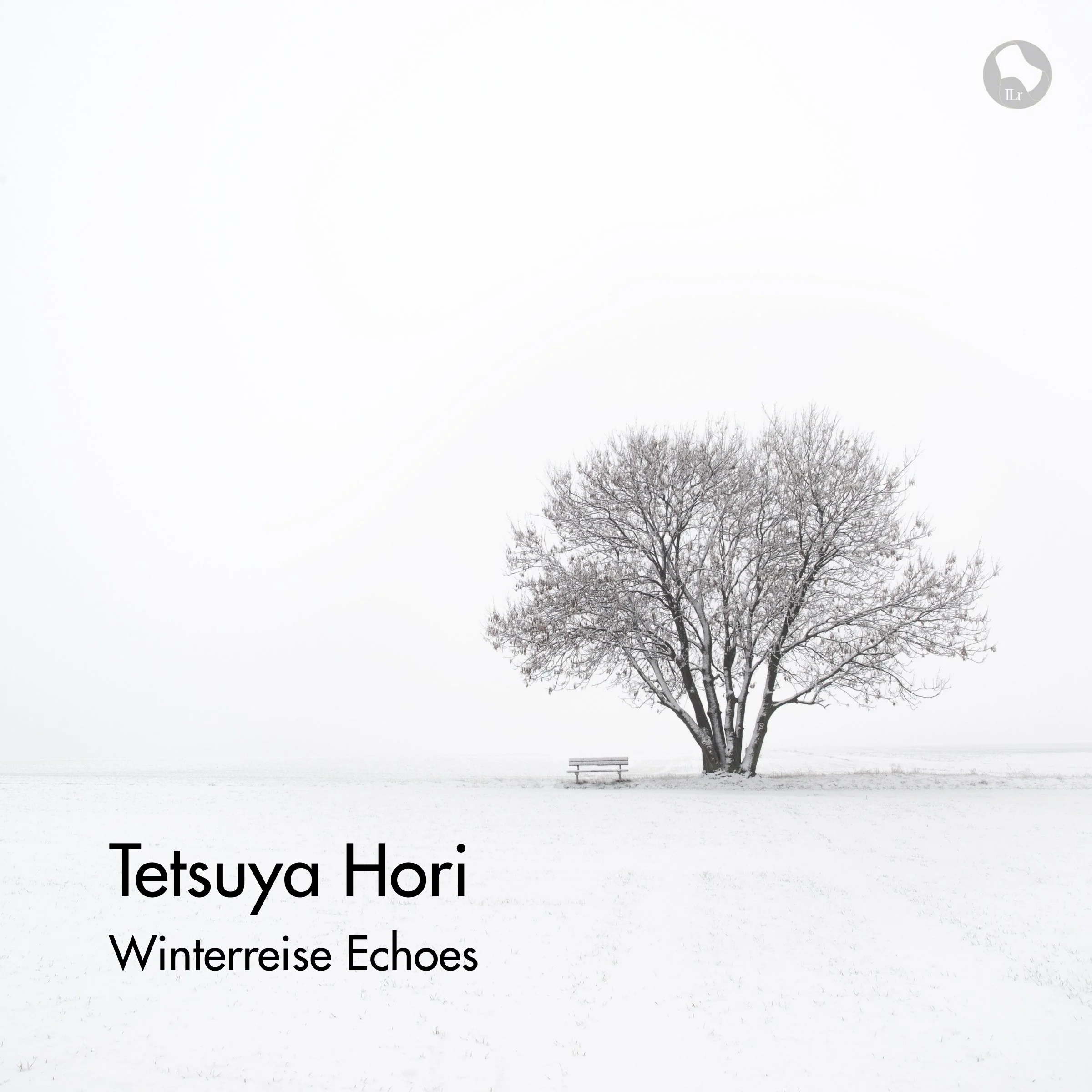 Ein winterlicher Baum vor weißem Himmel mit einer einsamen Bank im Vordergrund.