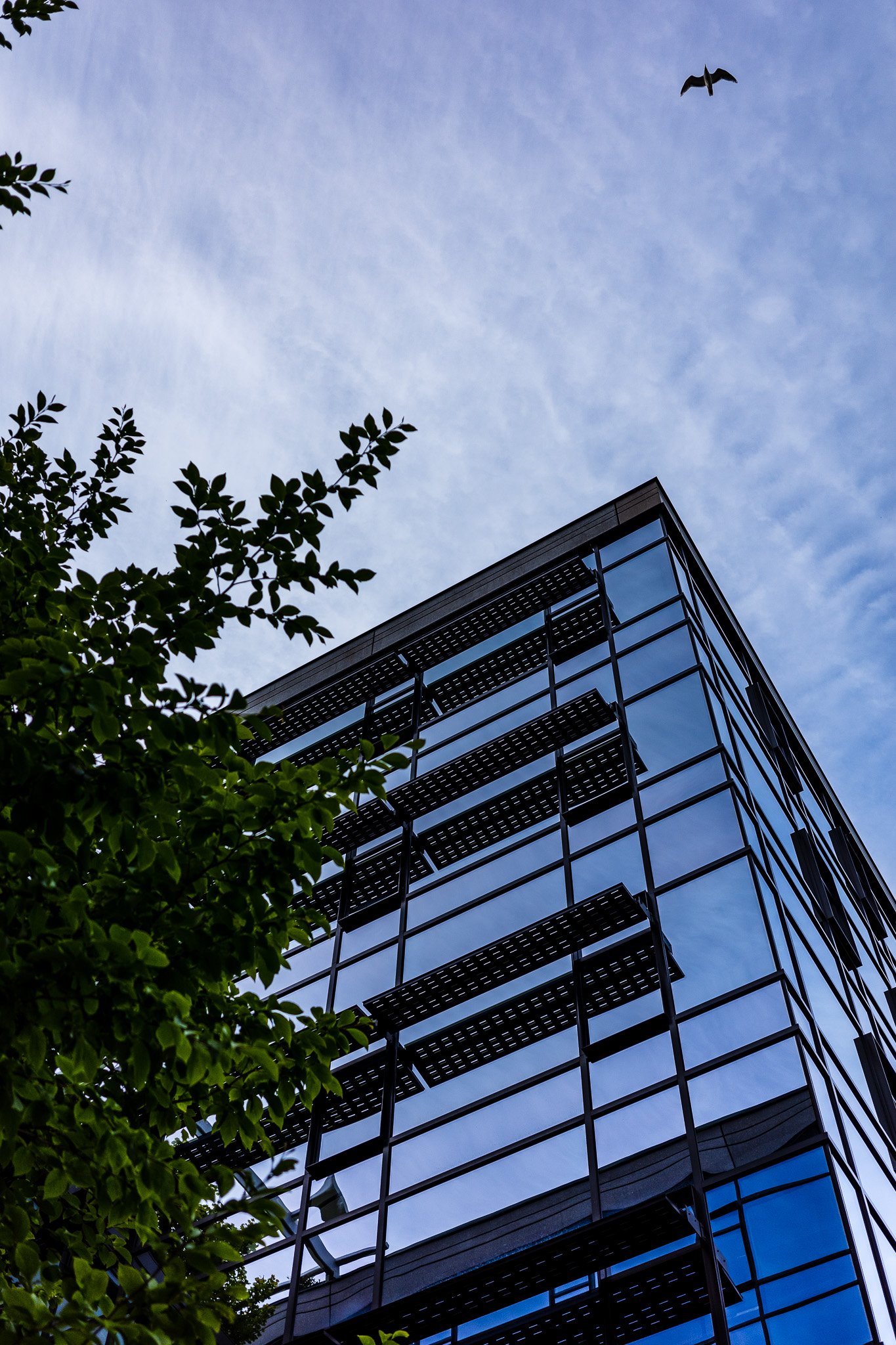 Ricoh-148.jpg