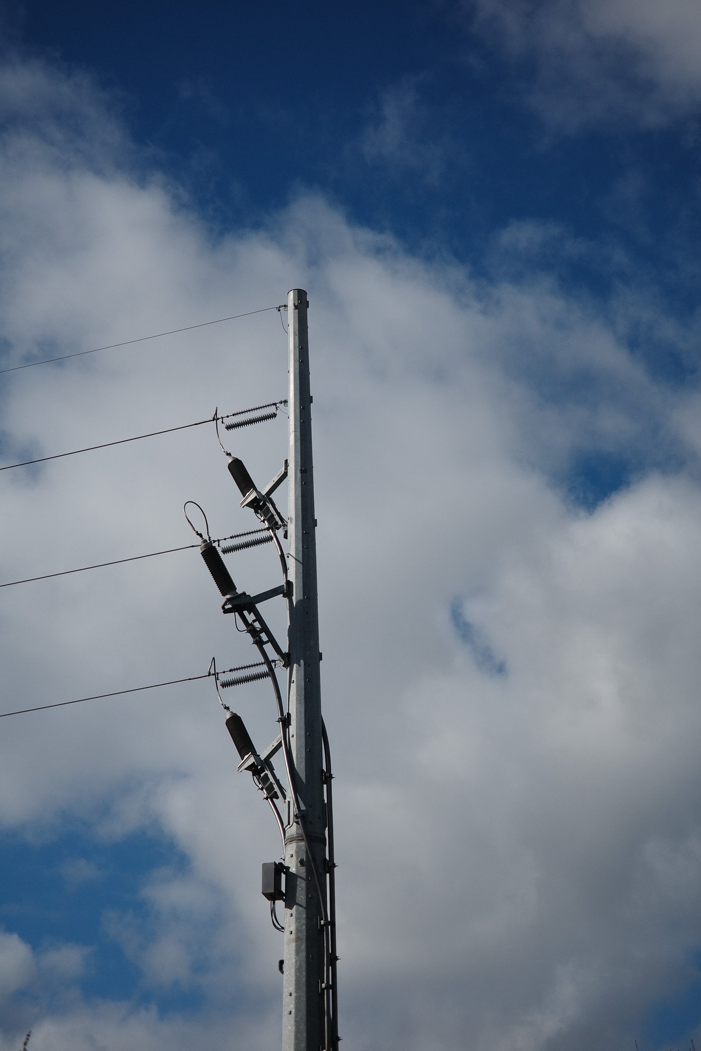 Ricoh-143.jpg