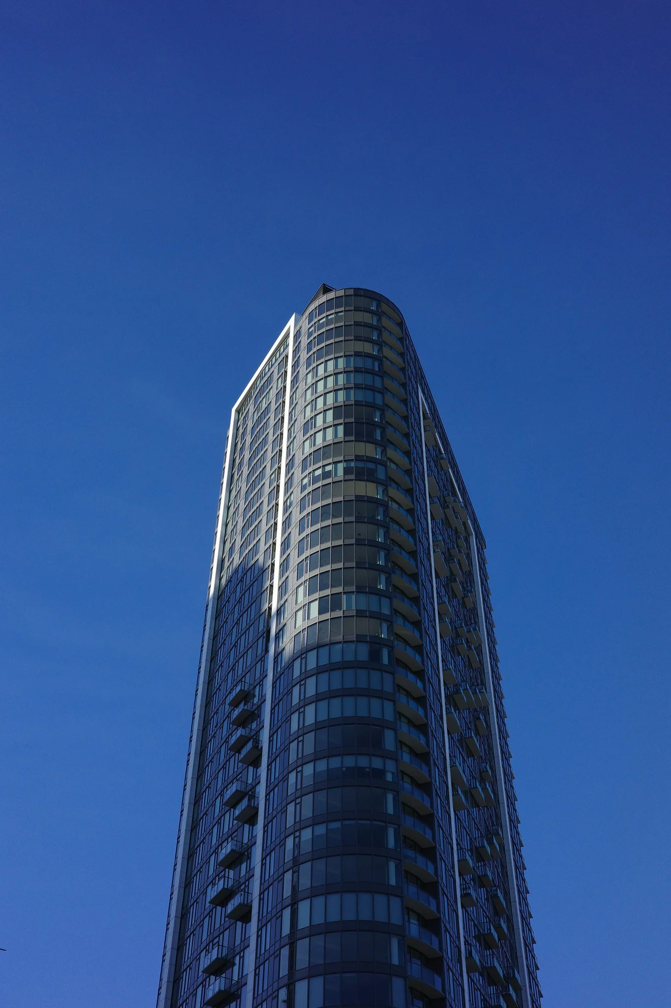Ricoh-155.jpg