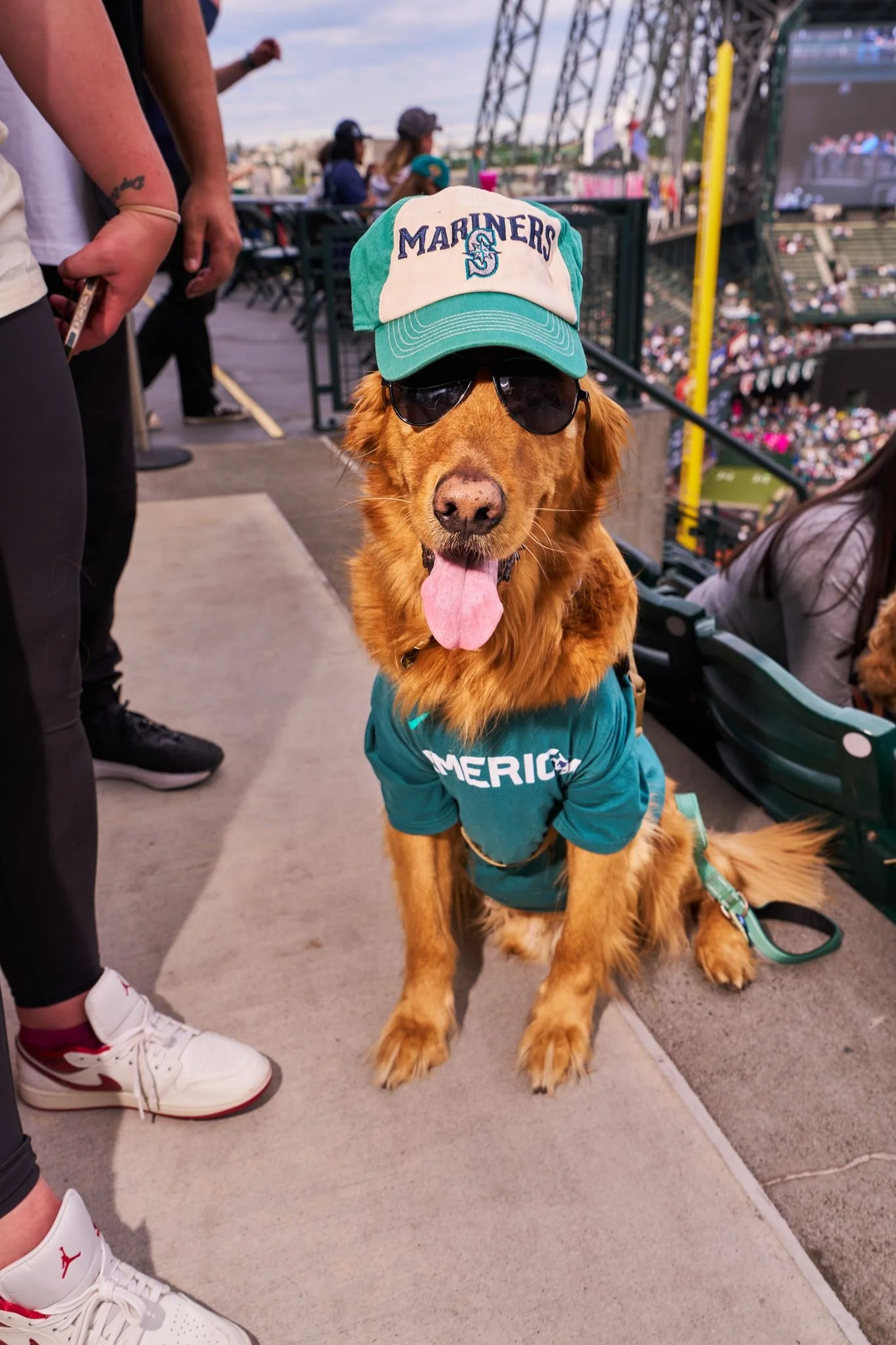 BarkinthePark_ 37.jpg