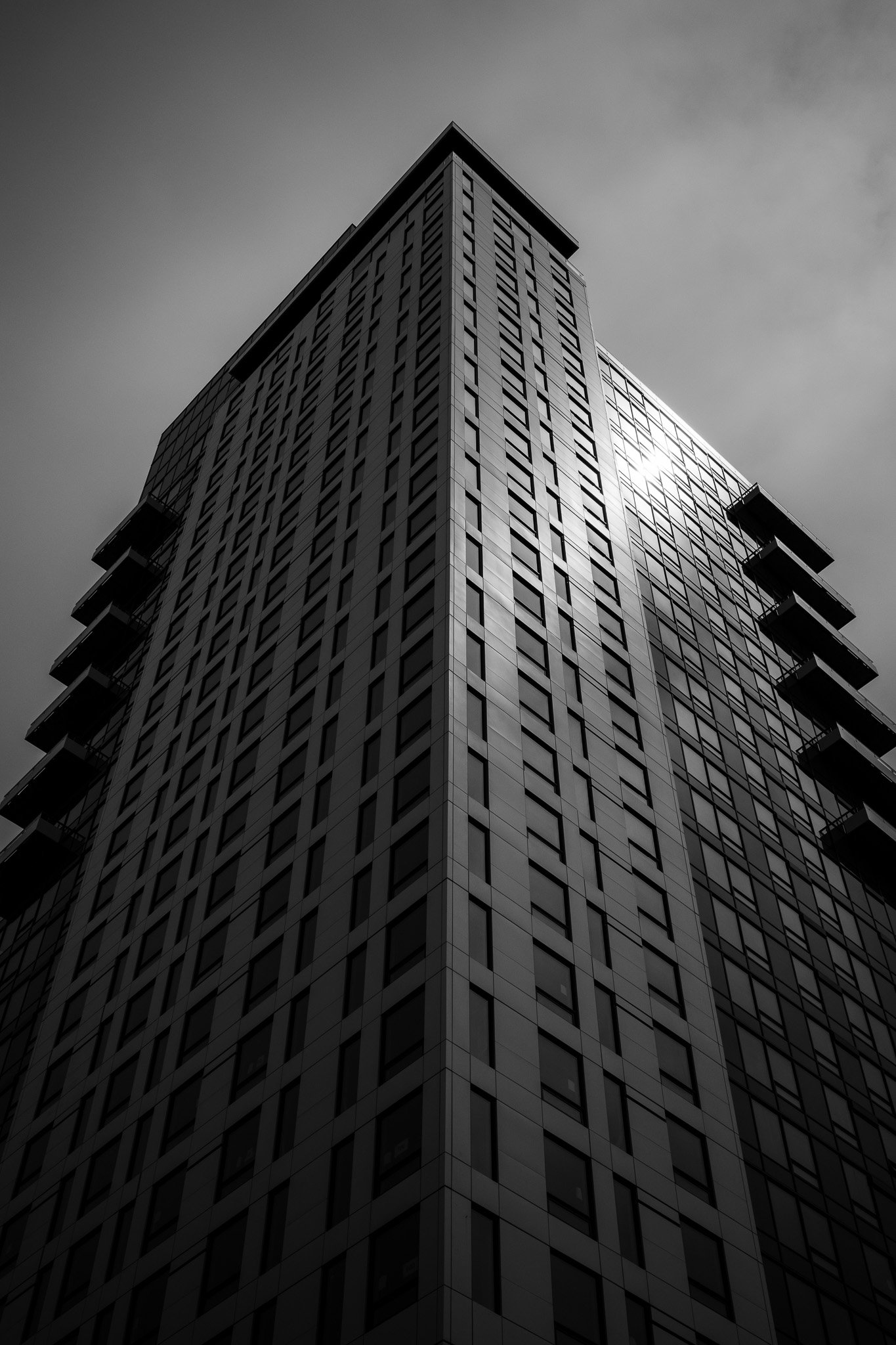 Ricoh-163.jpg