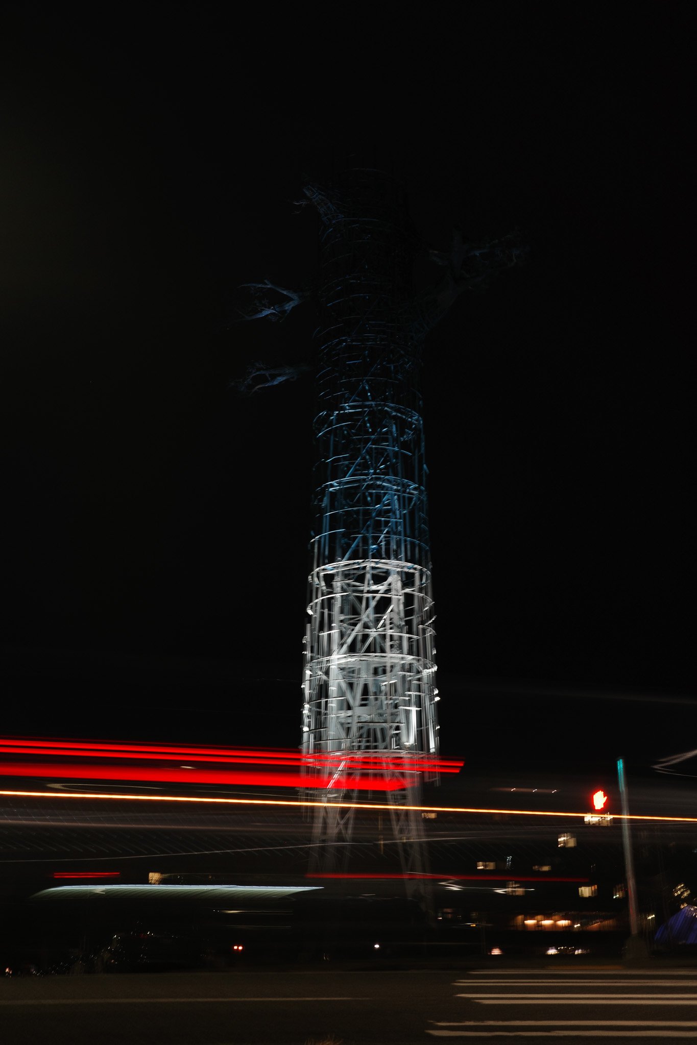 Ricoh-110.jpg