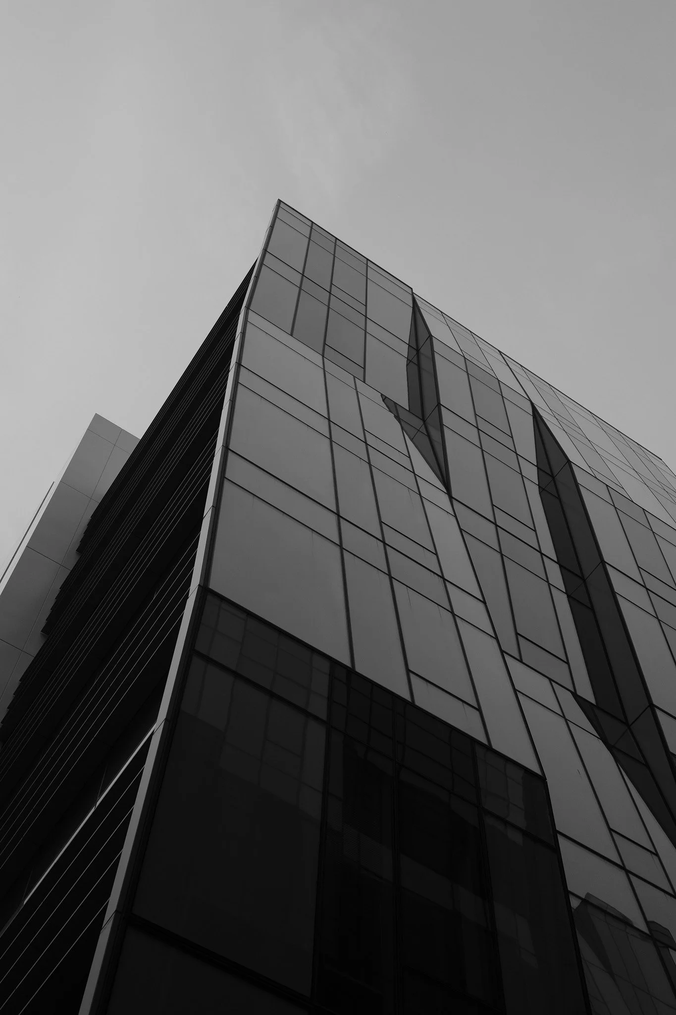 Ricoh-161.jpg