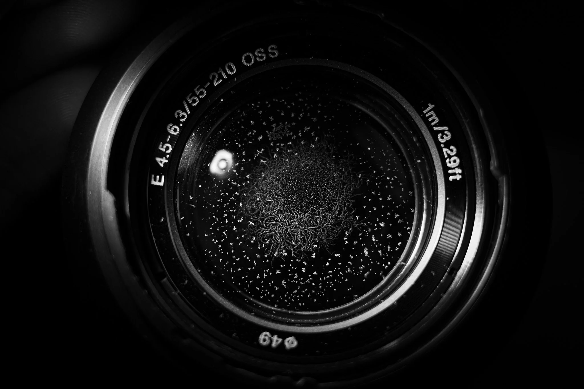 Ricoh-093.jpg