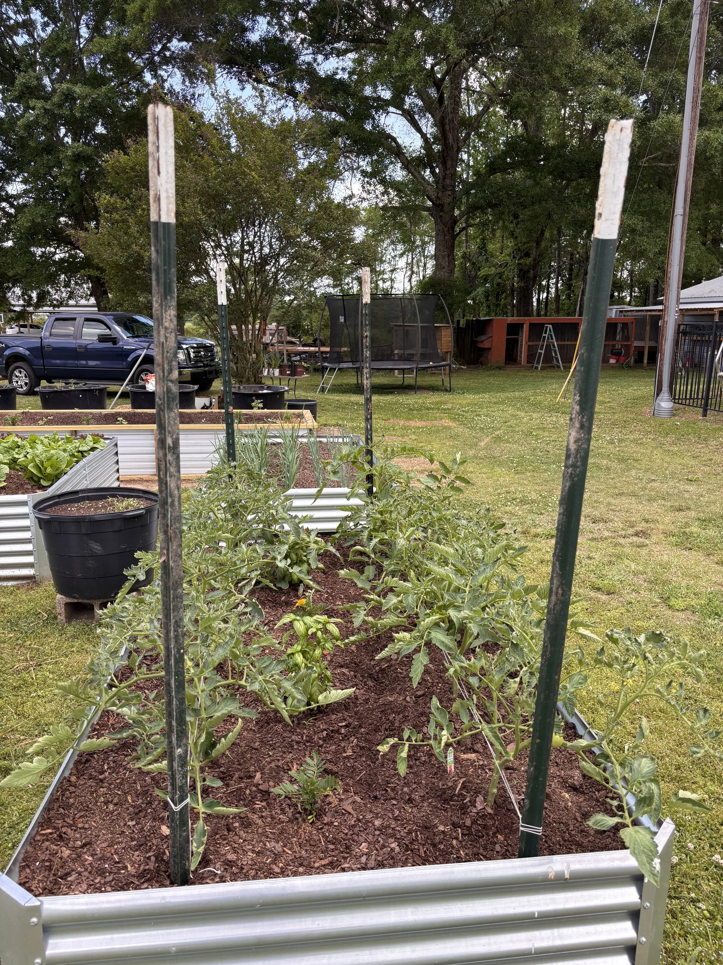 Sue Garden -8.jpg