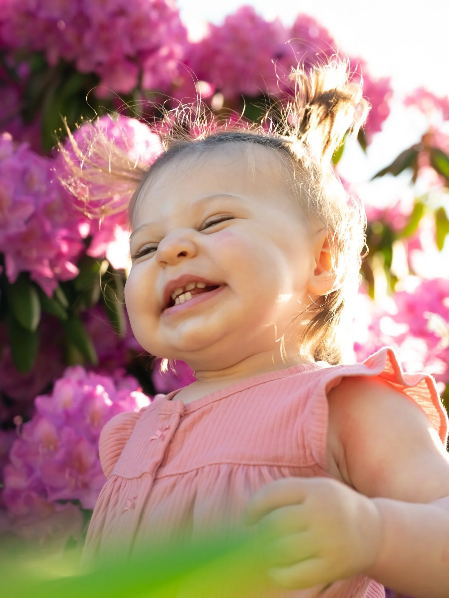 Spring blooms are just around the corner 🌸 One of my favorites is the rhododendron, or as we call it in our house - &ldquo;the birthday tree.&rdquo; Every May, right around my oldest son&rsquo;s birthday, our rhododendron opens her blossoms. The mor