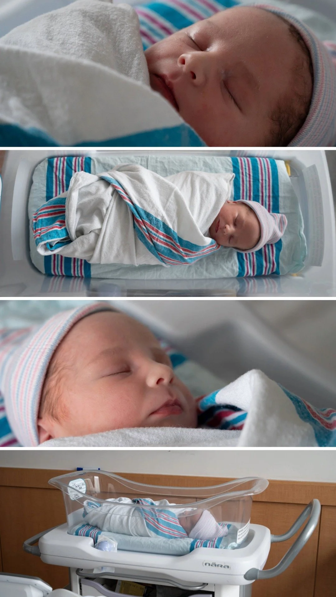 Gallery Cover Photo Collage-4 (1).jpeg