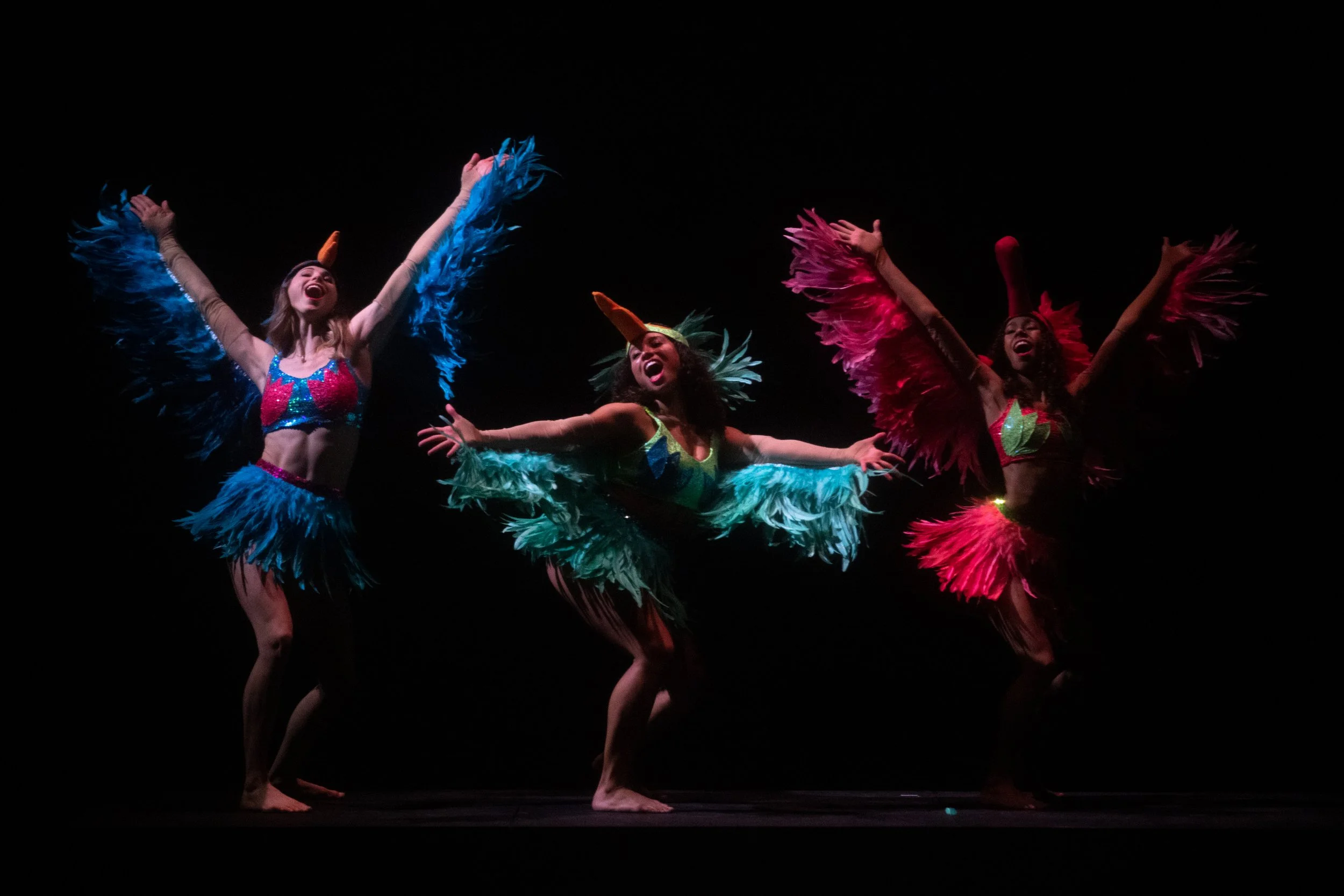 The Night Falls (World Premiere) photo by Maria Baranova