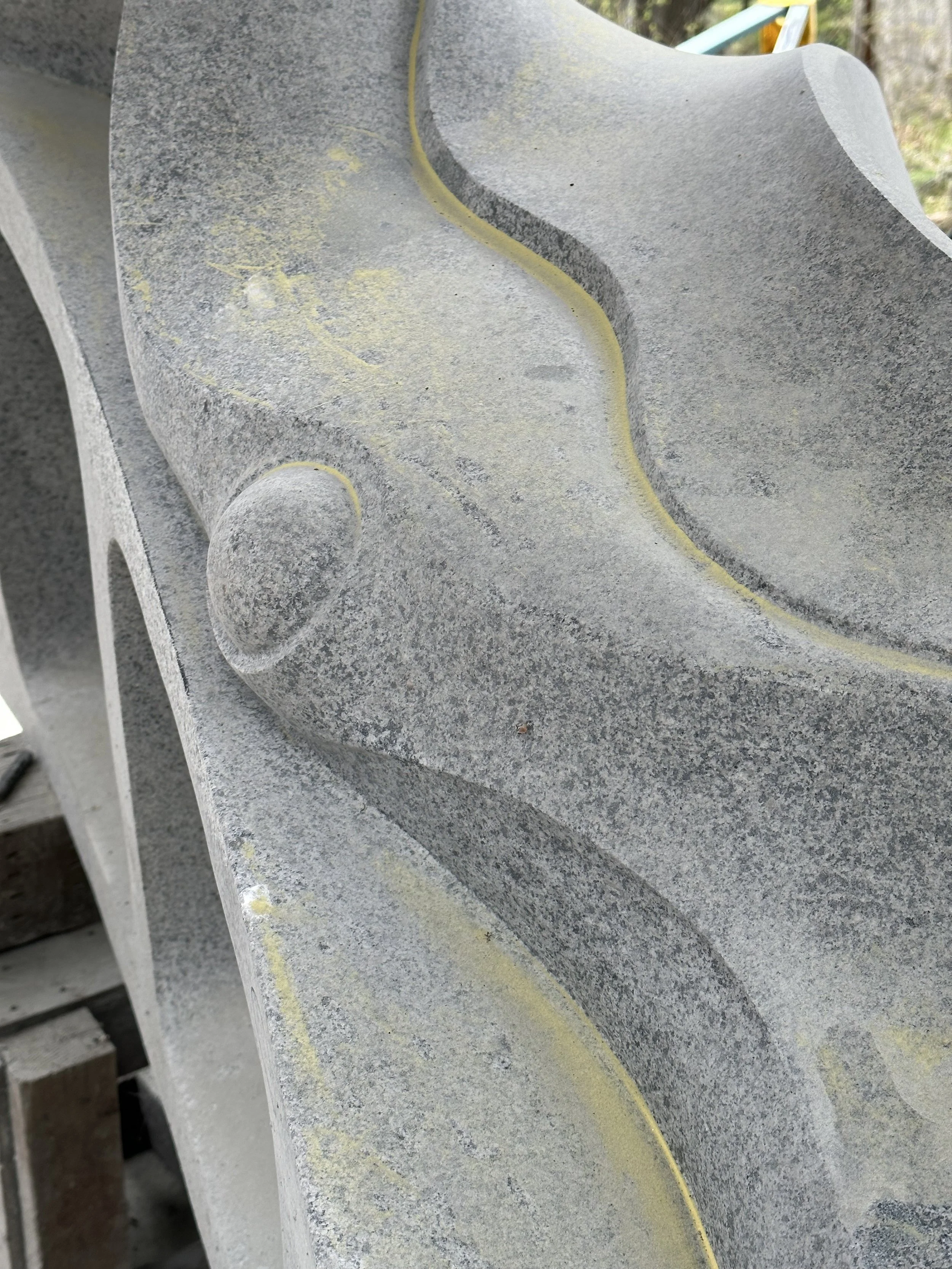 Canoe with Douglas Fir