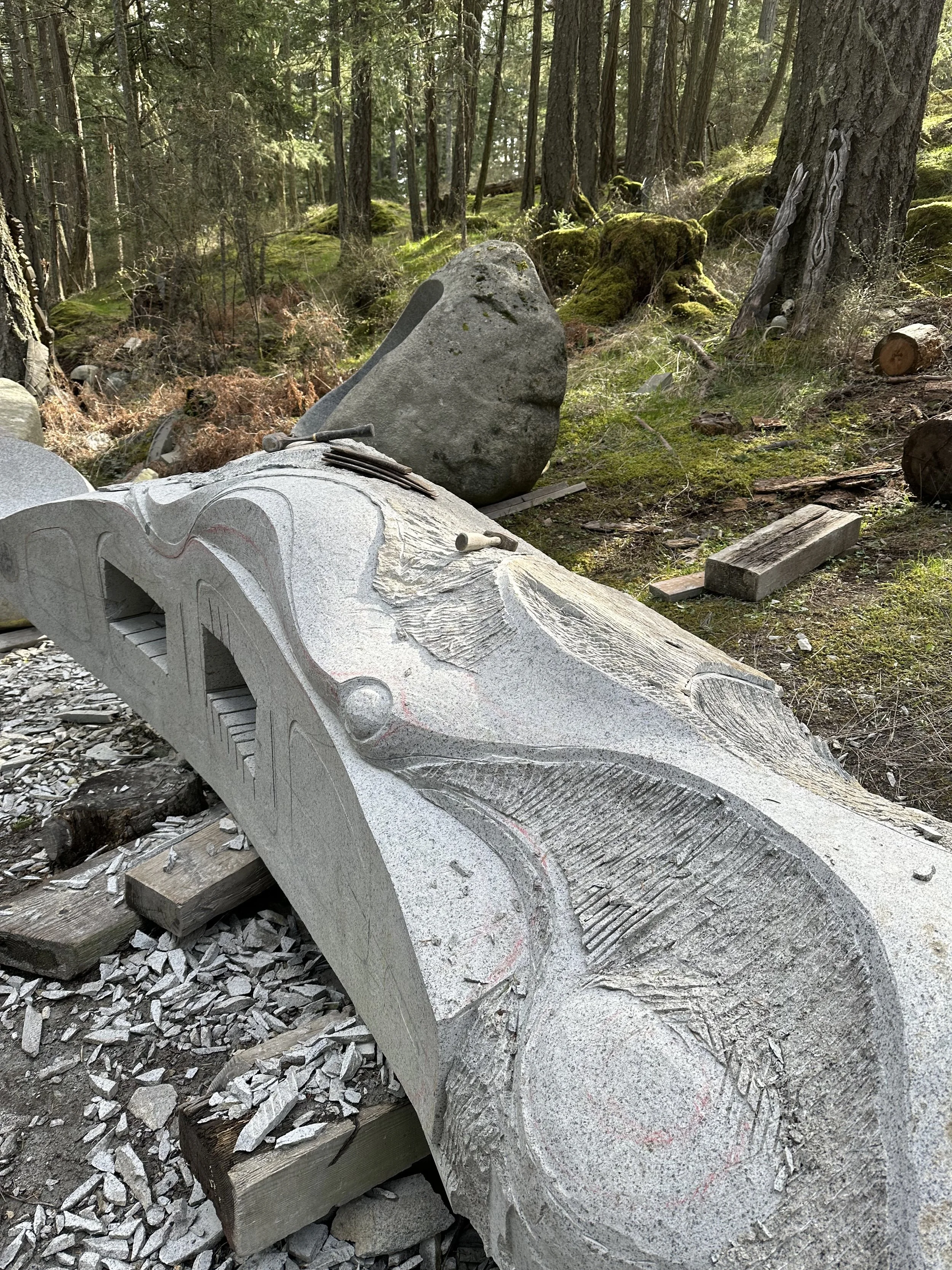 Canoe Afternoon Light