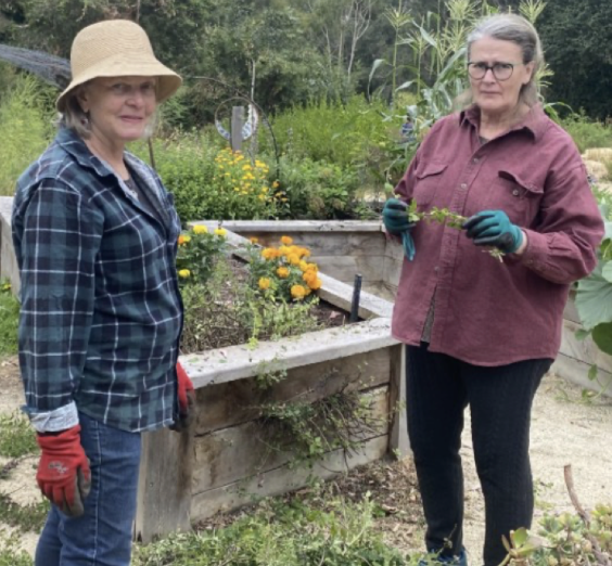 Meeniyan Community Garden