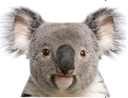 Screenshot 2026-04-02 at 5.41.13 PM.png