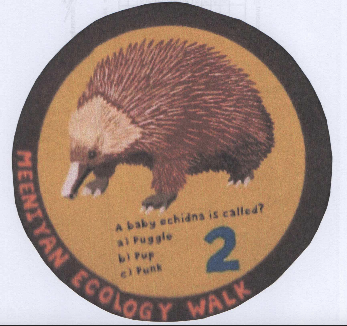 Mural and Ecology Walk Update