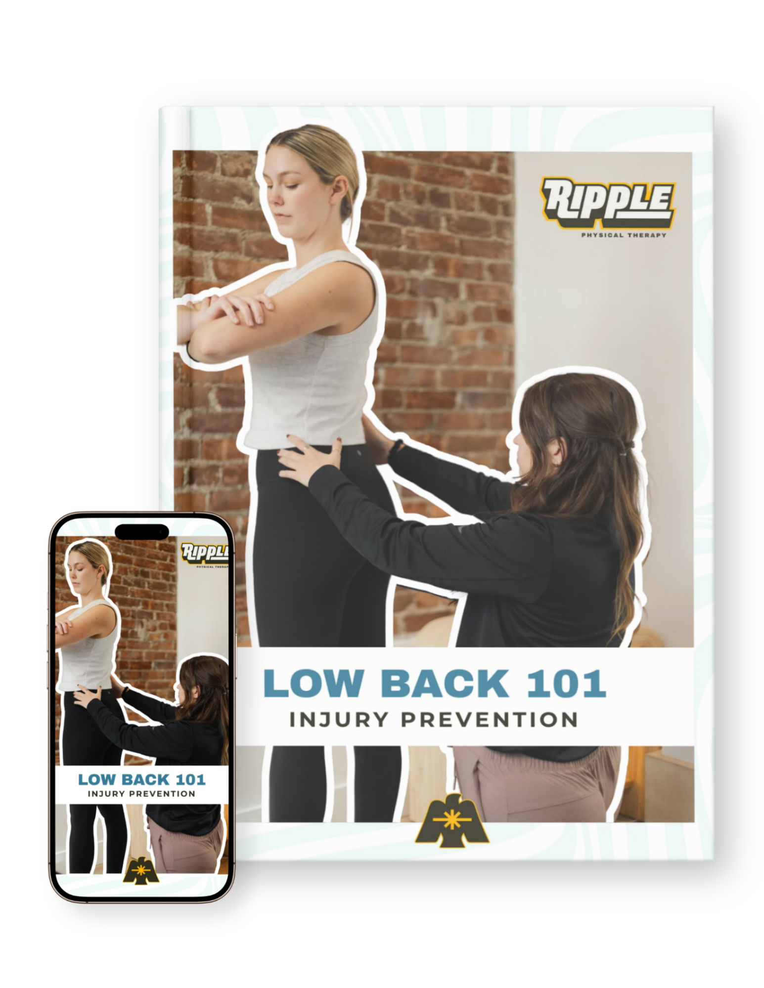 Low Back 101 Guide Mock Up