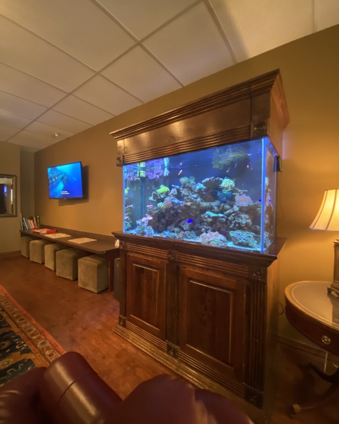 Great pic of a reef service aquarium in north Dallas #aquarium #aquariums #fishtank #fishtanks #aquaticdesignaquarioum