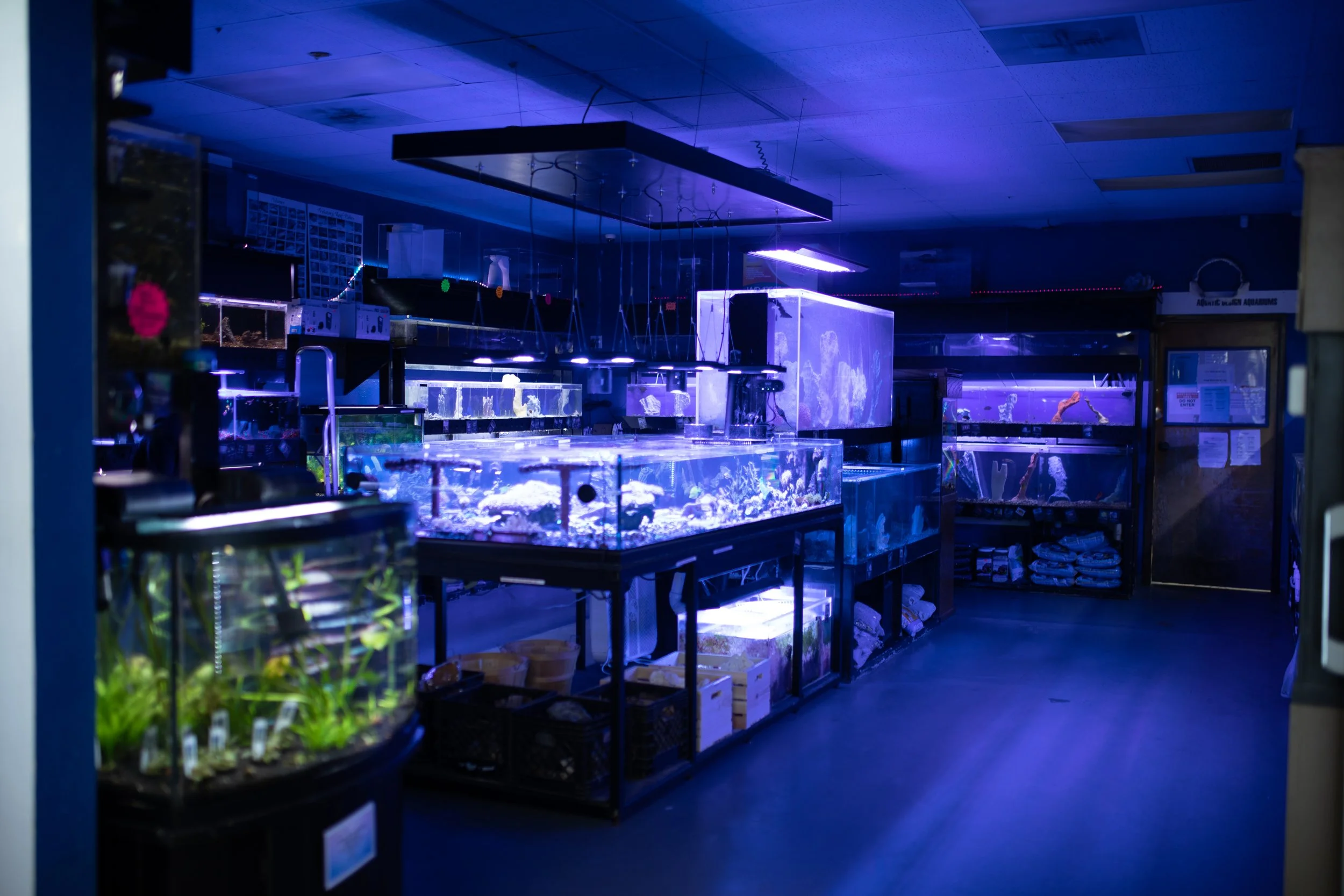 Retail Display Aquarium Systems at Taylah Cayley blog
