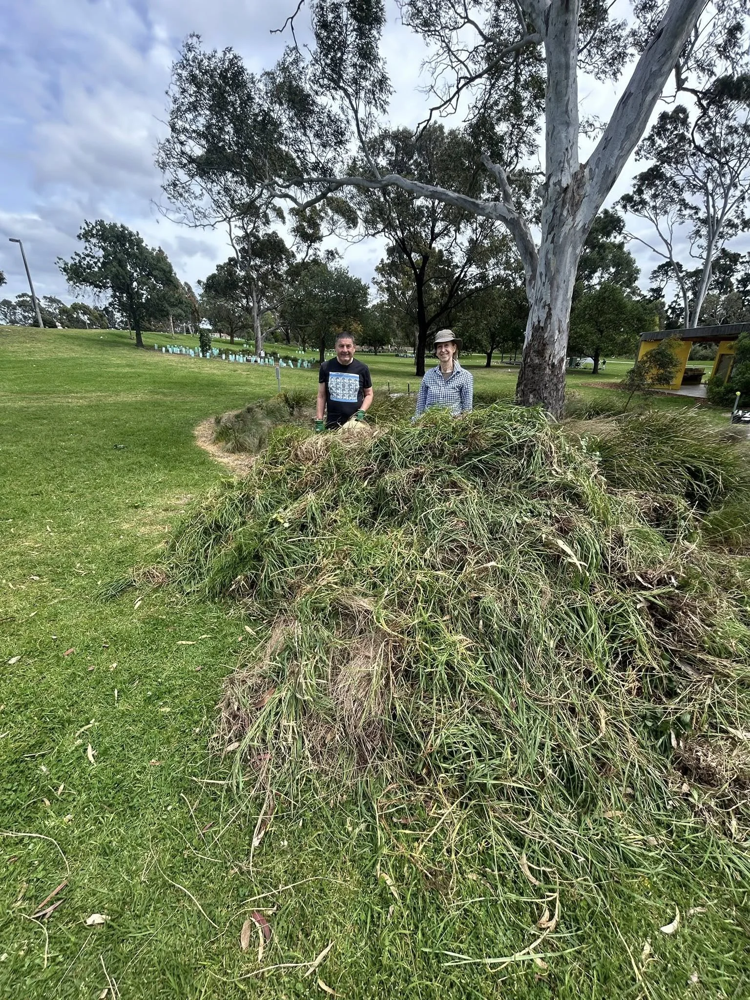 Maintenance - Bee Hotel Area 