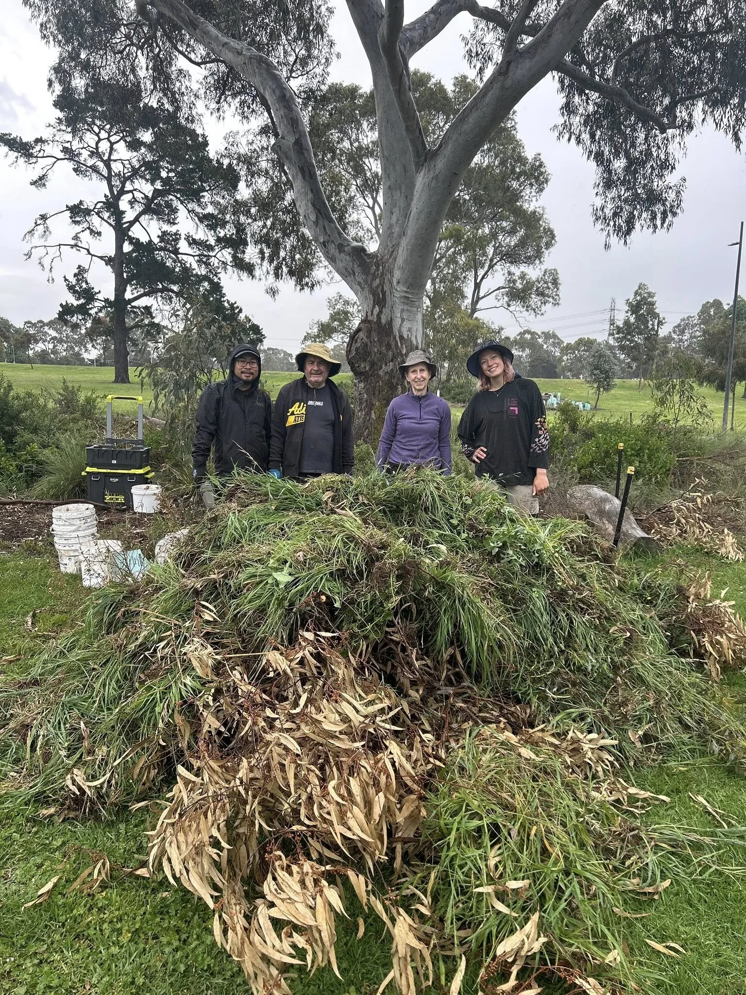 Maintenance - Bee Hotel Area 