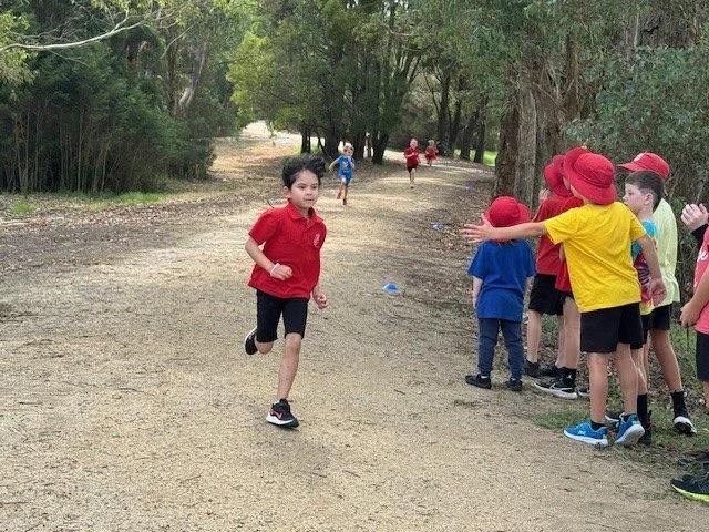 cross_country75.jpg