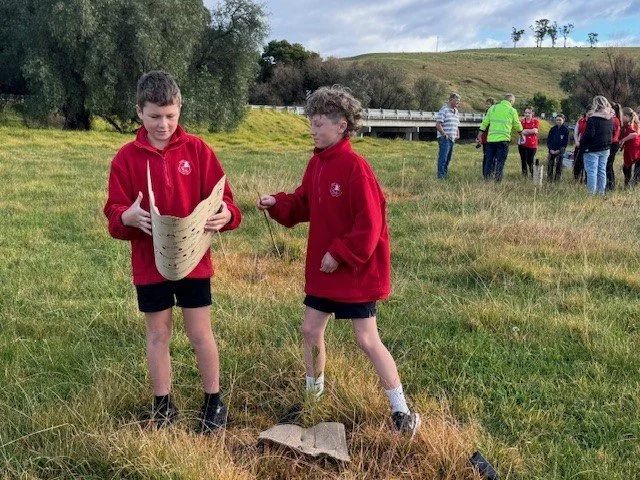 tree_planting13.jpg