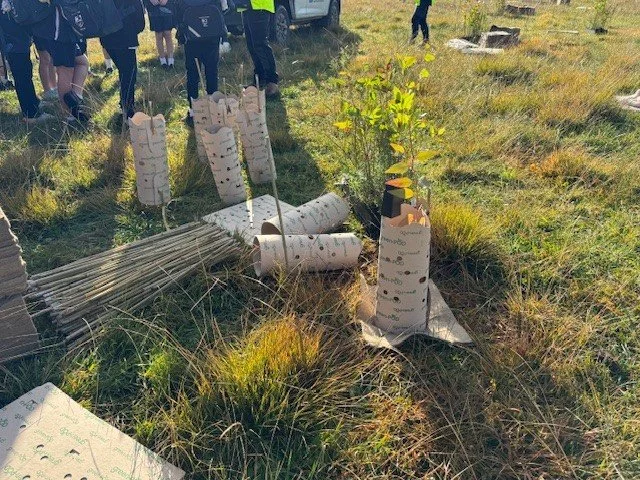 tree_planting15.jpg