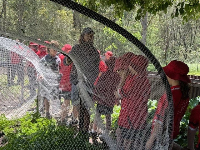 Grade_6_excursion25.jpg