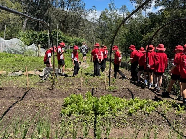 Grade_6_excursion26.jpg