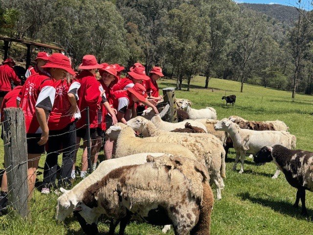 Grade_6_excursion39.jpg